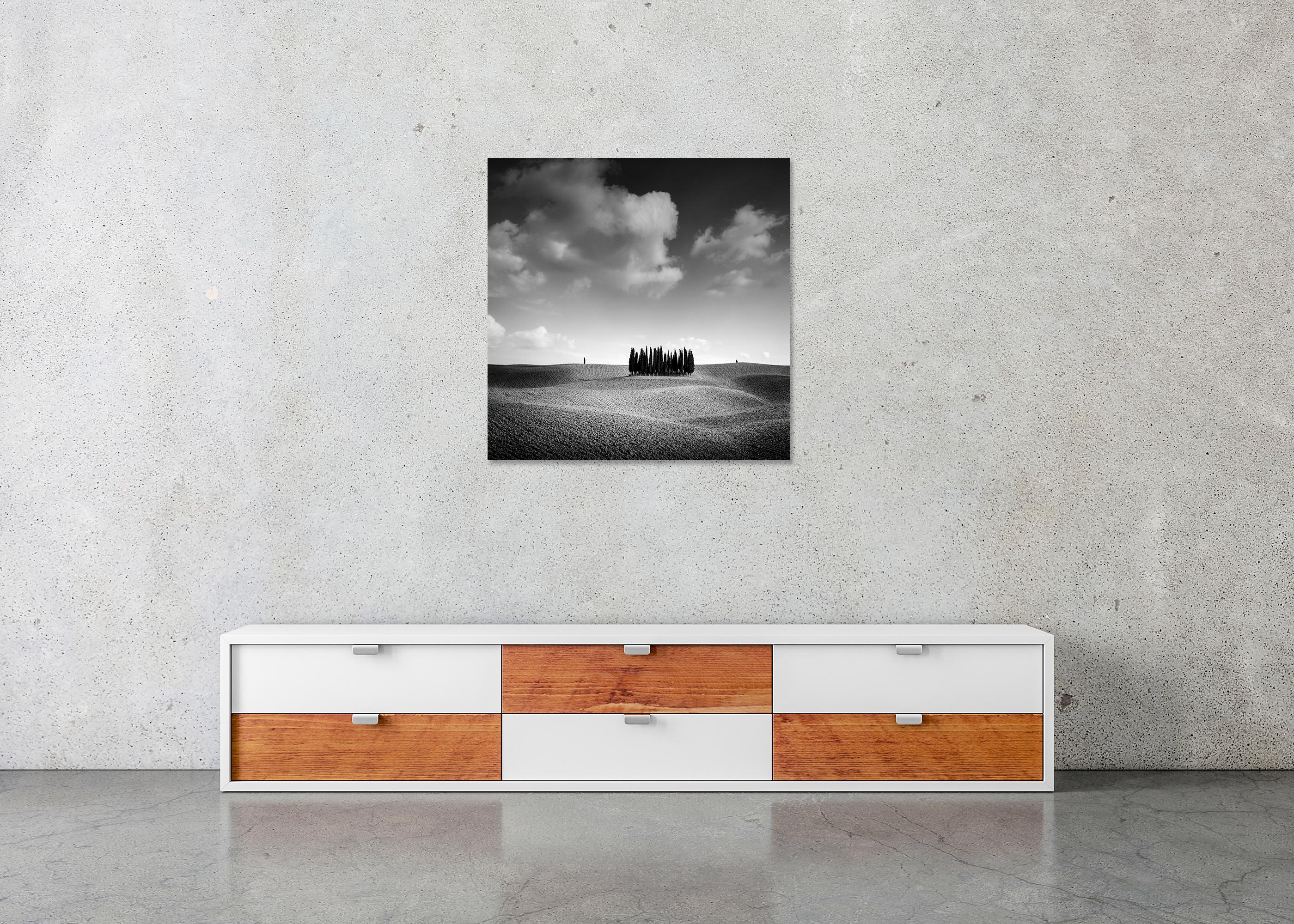 Colina del Ciprés, Árbol, Toscana, fotografía artística en blanco y negro, paisaje en venta 4