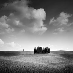   Colina del Ciprés, Árbol, Toscana, fotografía artística en blanco y negro, paisaje