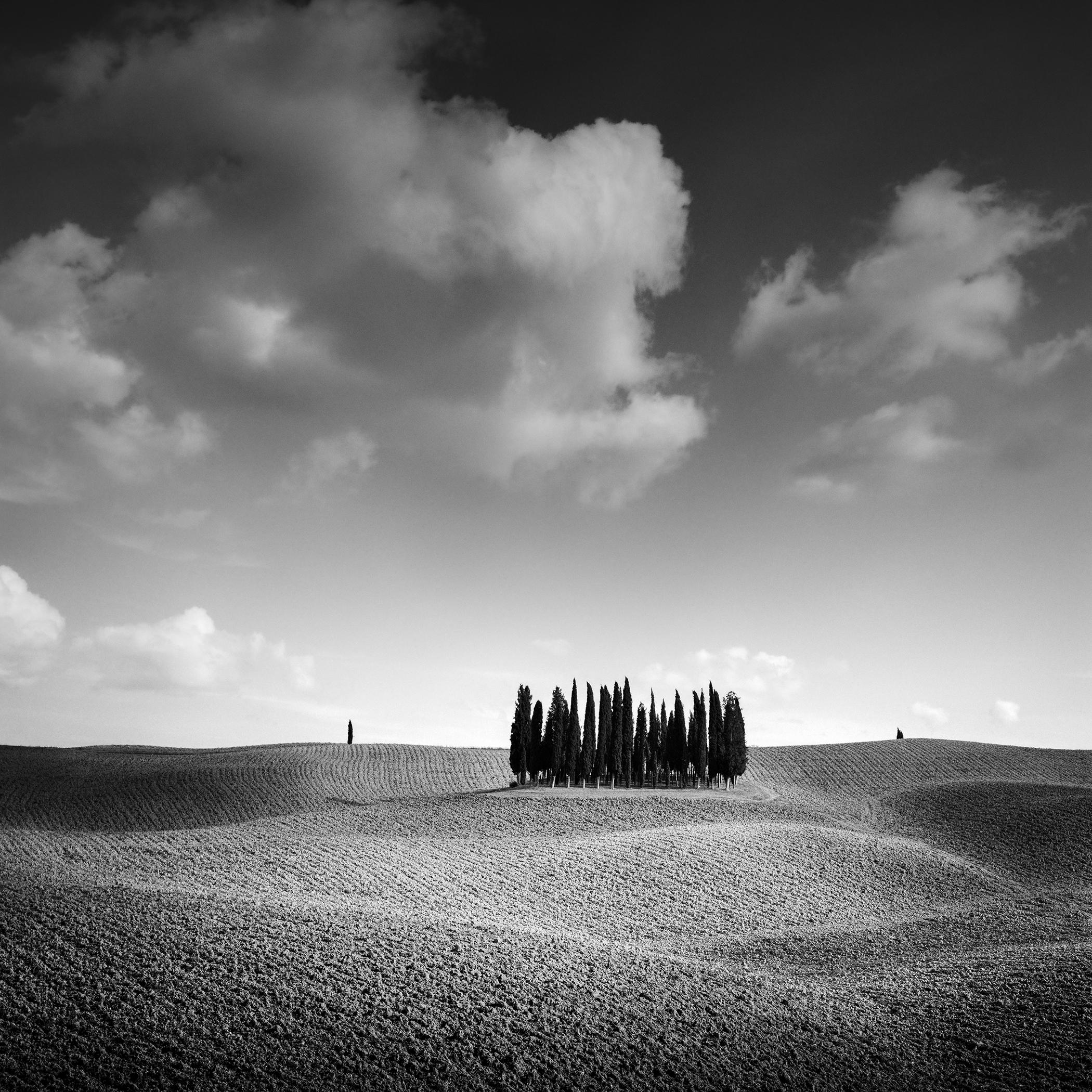 Black and White Photograph de Gerald Berghammer - Colina del Ciprés, Árbol, Toscana, fotografía artística en blanco y negro, paisaje