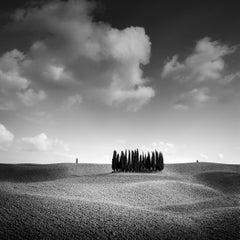 Cypress Hill, Tree, Tuscany, black and white fine art photography, landscape