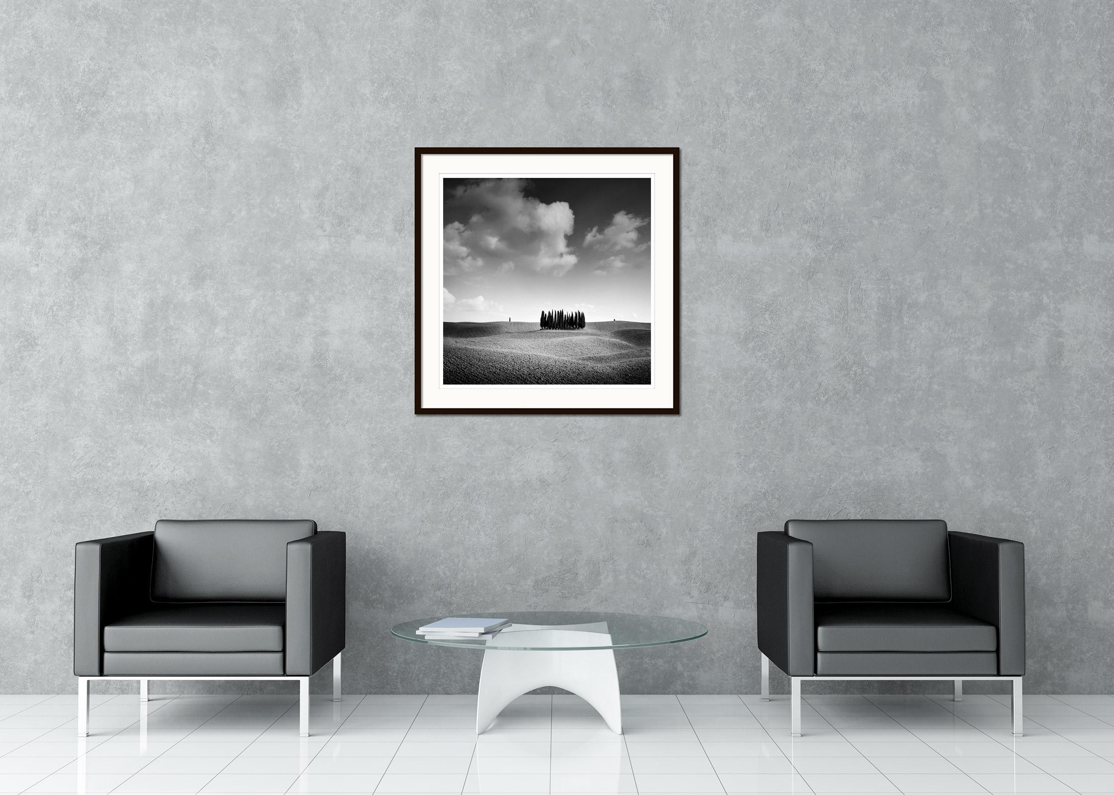 Black and white fine art landscape photography print. Famous group of cypress trees in autumn on the hills of Tuscany, Italy. Archival pigment ink print, edition of 9. Signed, titled, dated and numbered by artist. Certificate of authenticity