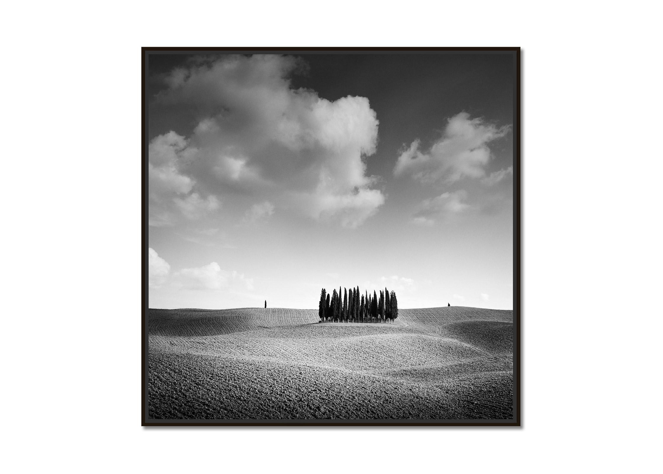   Cypress Hill, Toskana, Italien, minimalistische Schwarz-Weiß-Fotografie, Landschaft – Photograph von Gerald Berghammer