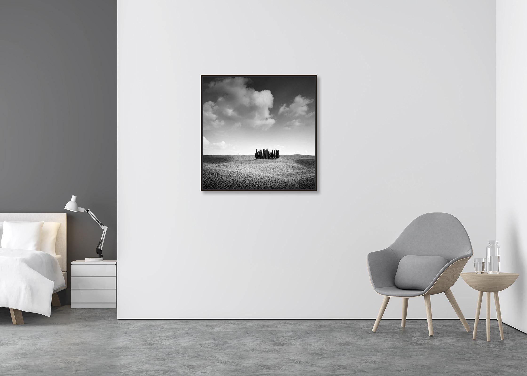   Cypress Hill, Toskana, Italien, minimalistische Schwarz-Weiß-Fotografie, Landschaft (Abstrakt), Photograph, von Gerald Berghammer