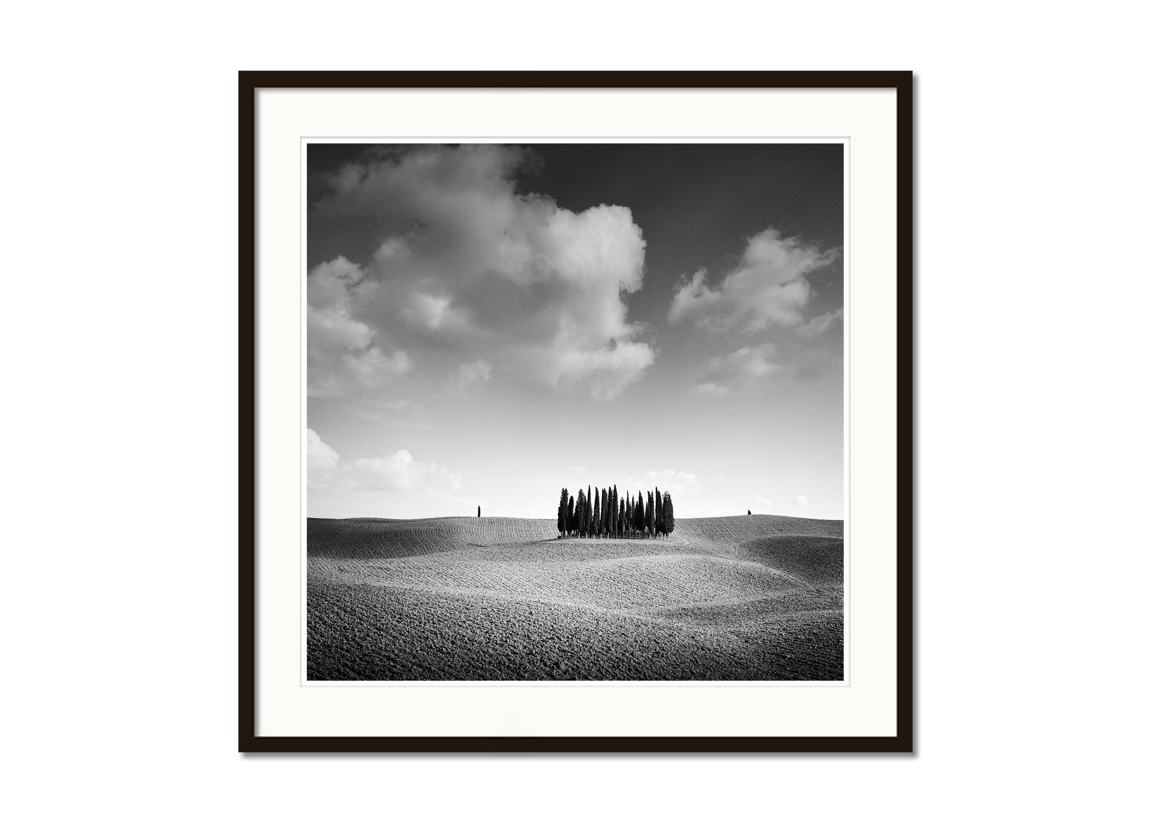   Cypress Hill, Toskana, Italien, minimalistische Schwarz-Weiß-Fotografie, Landschaft (Grau), Black and White Photograph, von Gerald Berghammer