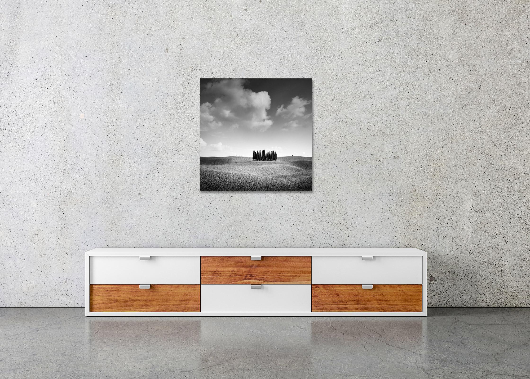   Cypress Hill, Toskana, Italien, minimalistische Schwarz-Weiß-Fotografie, Landschaft im Angebot 2