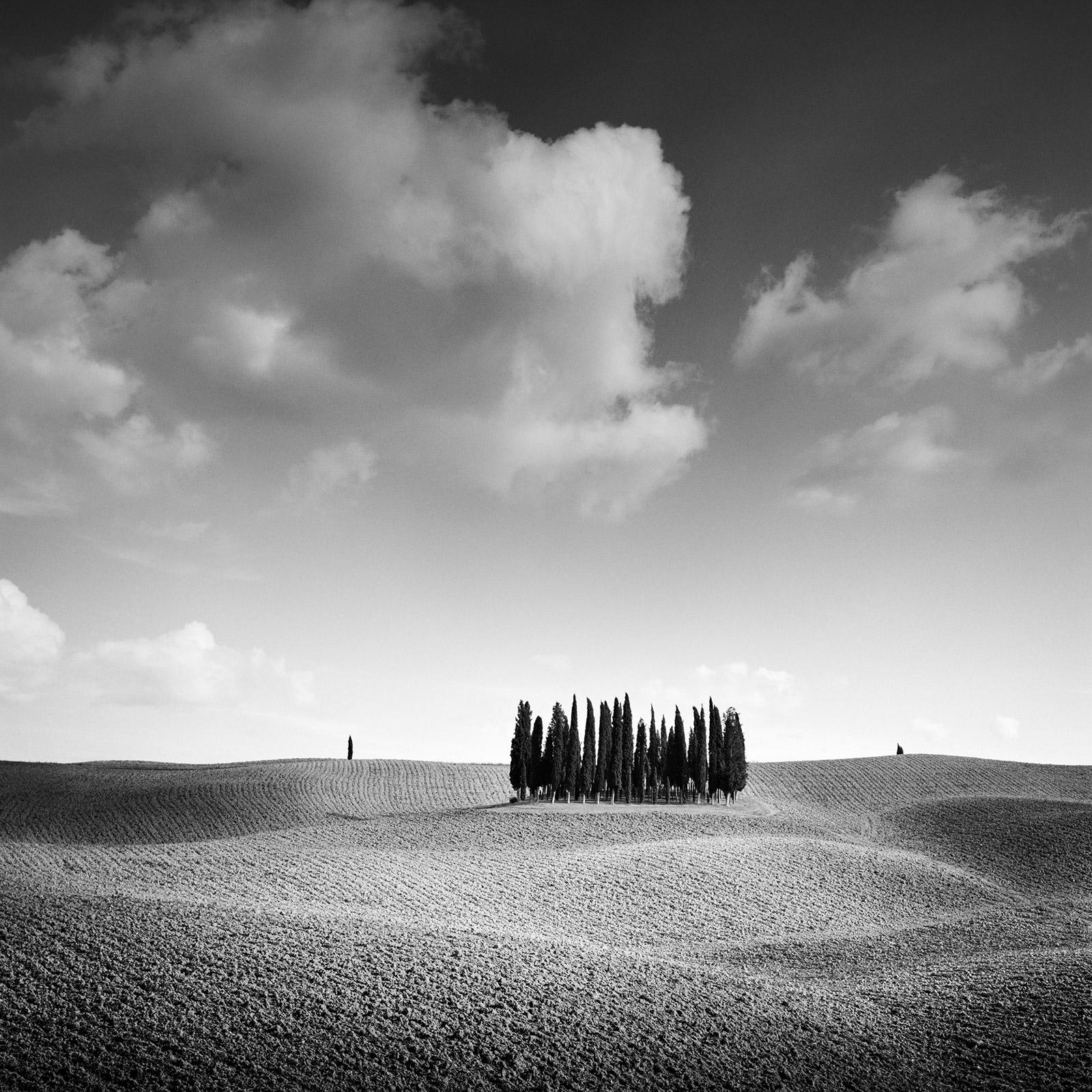   Cypress Hill, Tuscany, Italy, minimalist black and white photograhy, landscape
