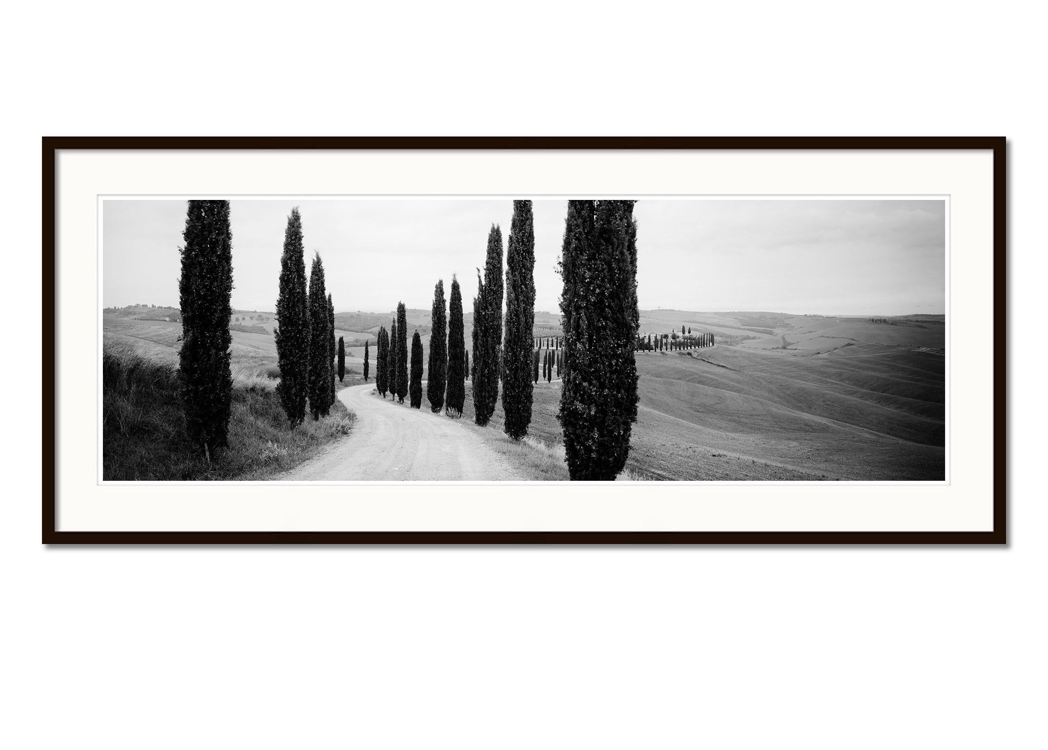Cypress Path Panorama, Trees, Tuscany, black and white photography, landscape - Contemporary Photograph by Gerald Berghammer