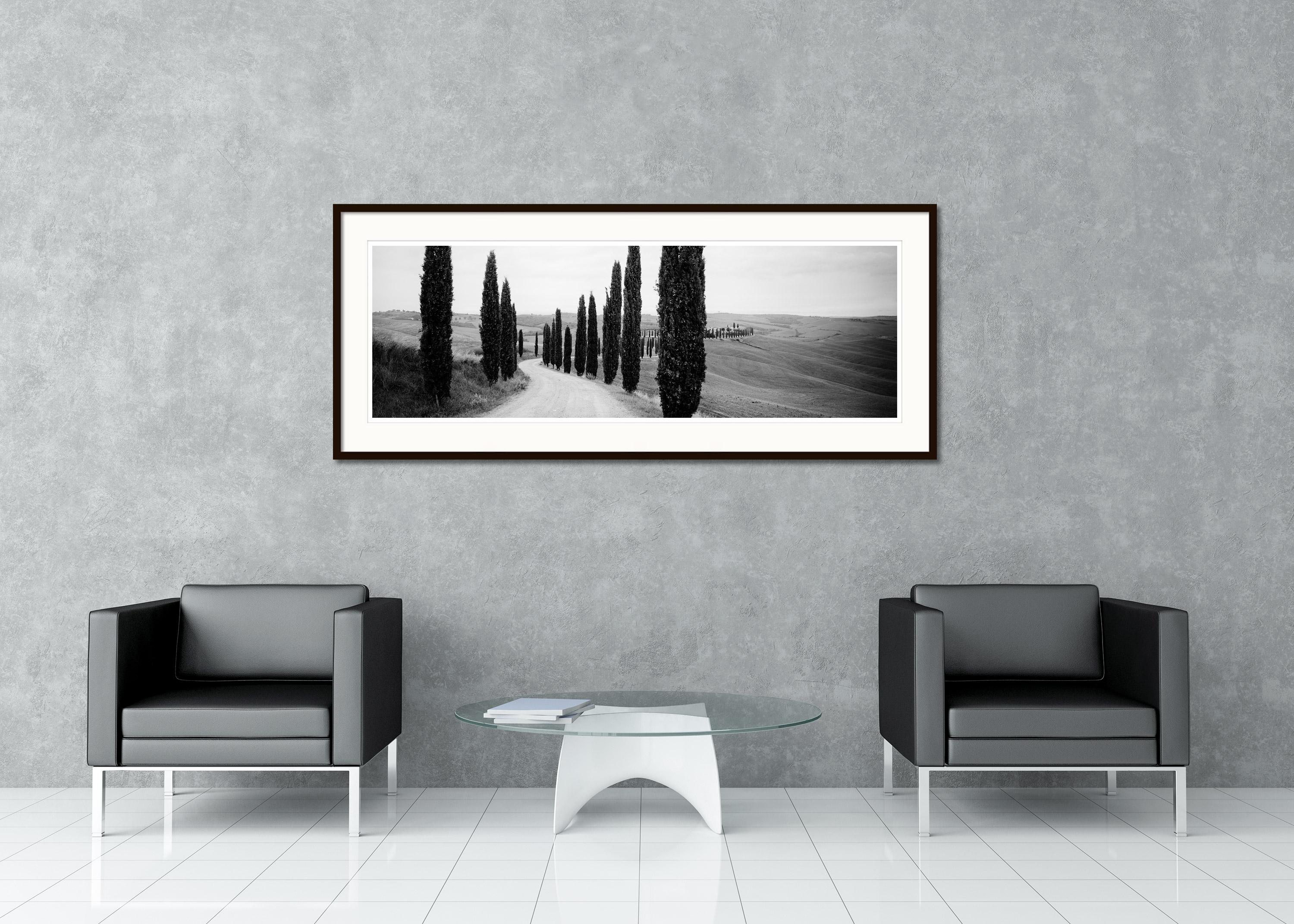 Cypress Path Panorama, Trees, Tuscany, black and white photography, landscape - Gray Landscape Photograph by Gerald Berghammer