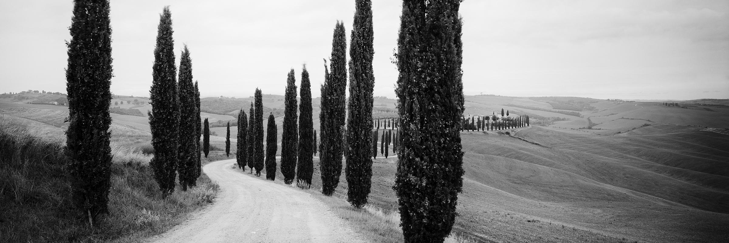 Gerald Berghammer Landscape Photograph - Cypress Path Panorama, Trees, Tuscany, black and white photography, landscape
