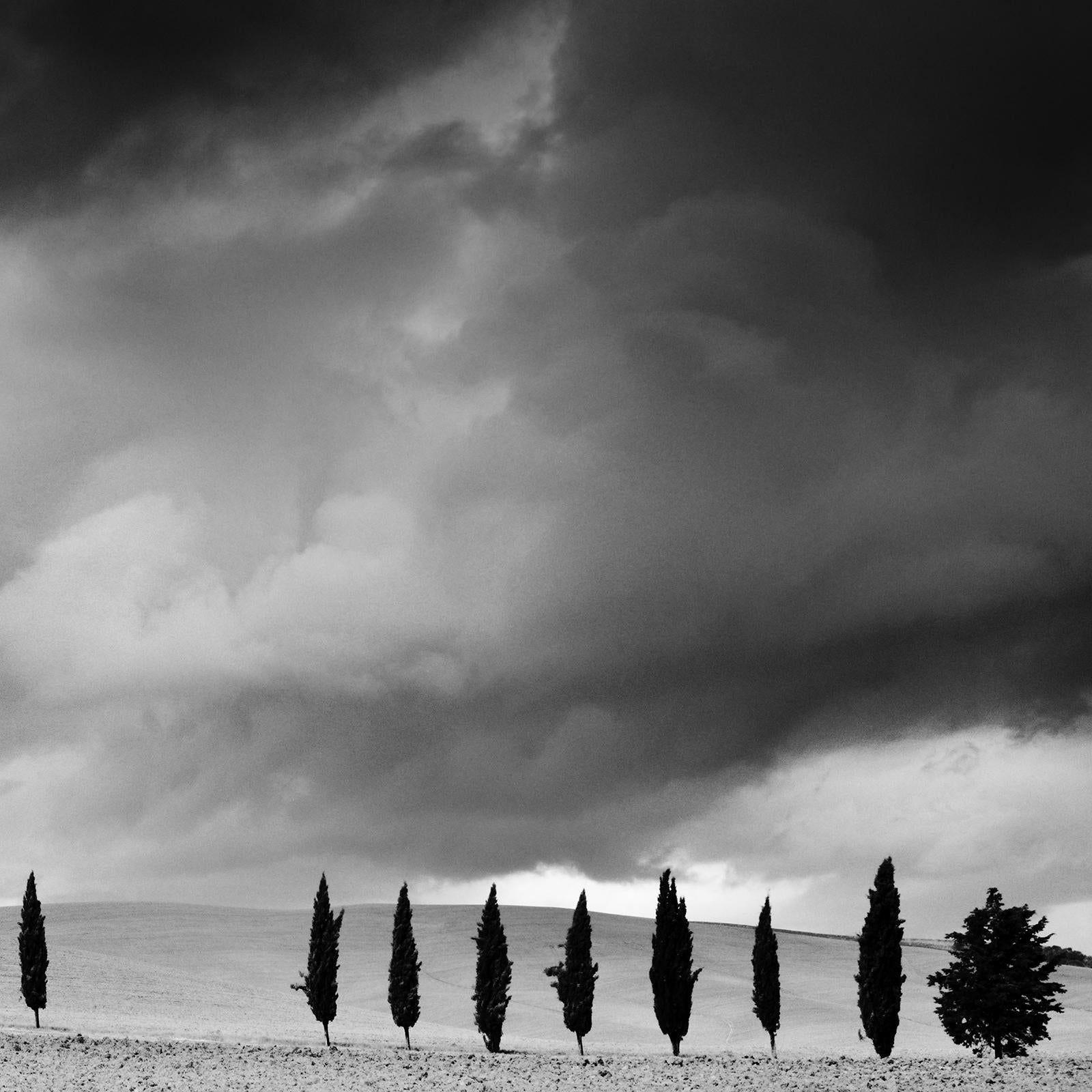 Cypress Tree Avenue, Panorama, Tuscany, black and white photography, landscape For Sale 5