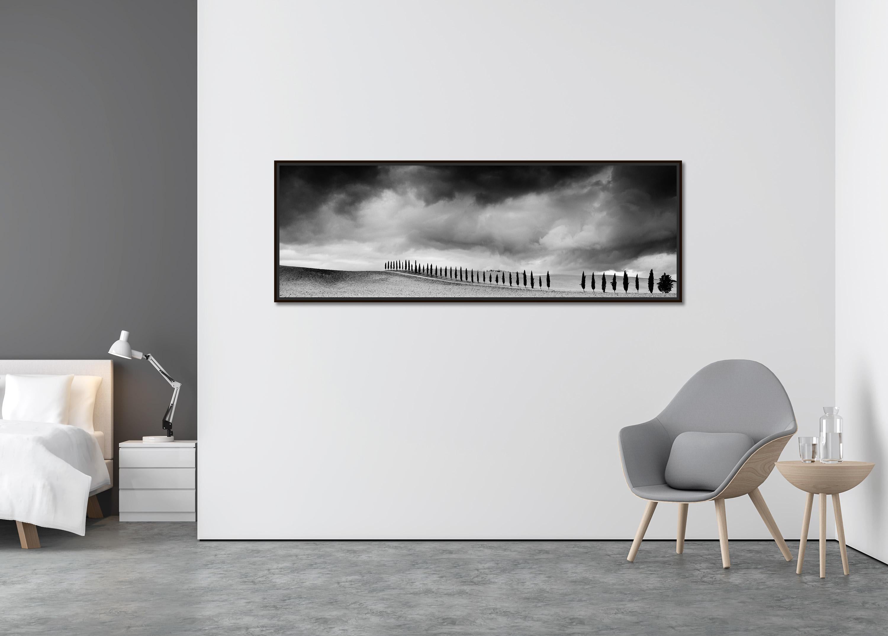 Cypress Tree Avenue, Panorama, Toscane, photographie noir et blanc, paysage - Contemporain Photograph par Gerald Berghammer