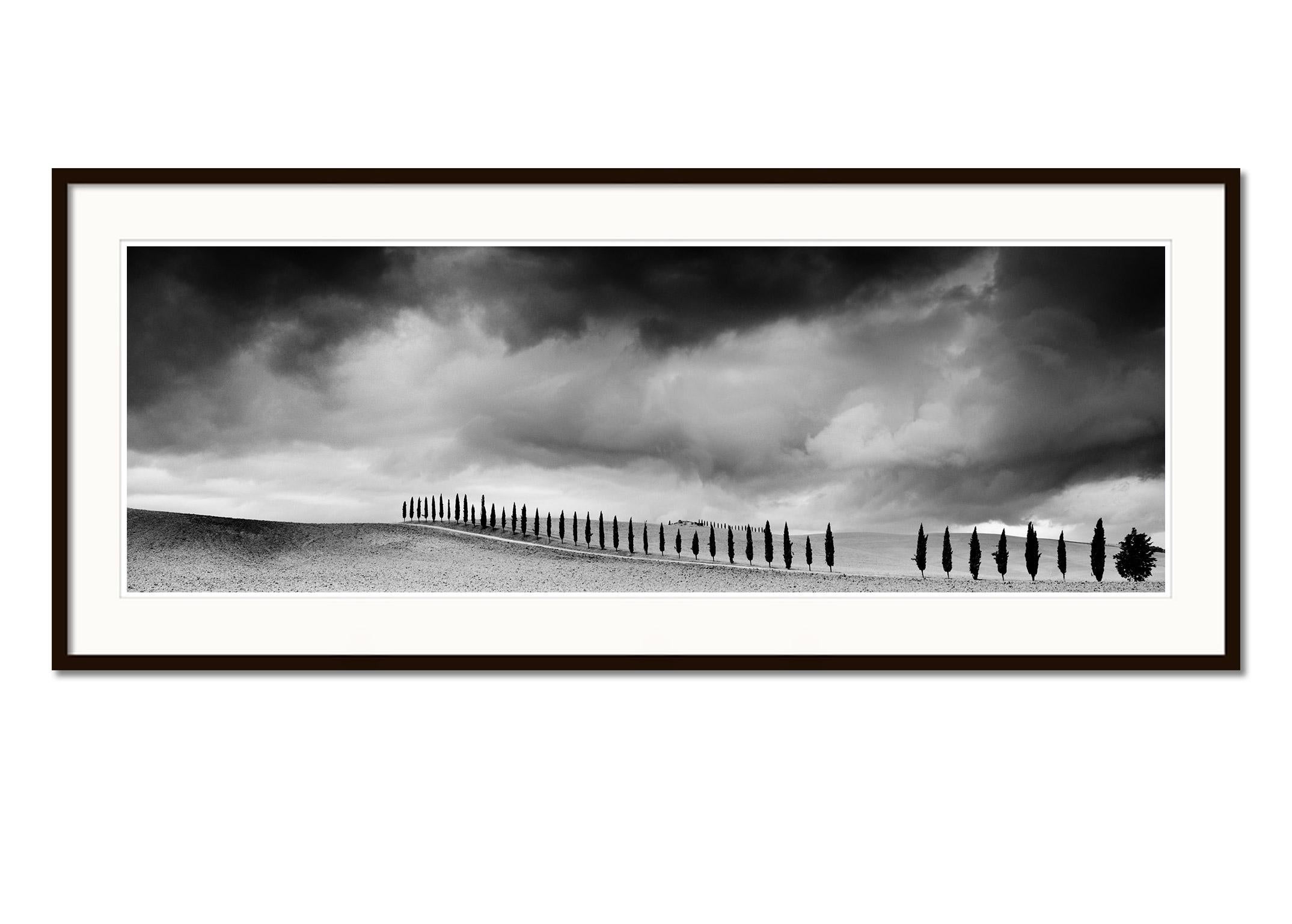 Cypress Tree Avenue, Panorama, Tuscany, black and white photography, landscape - Gray Black and White Photograph by Gerald Berghammer