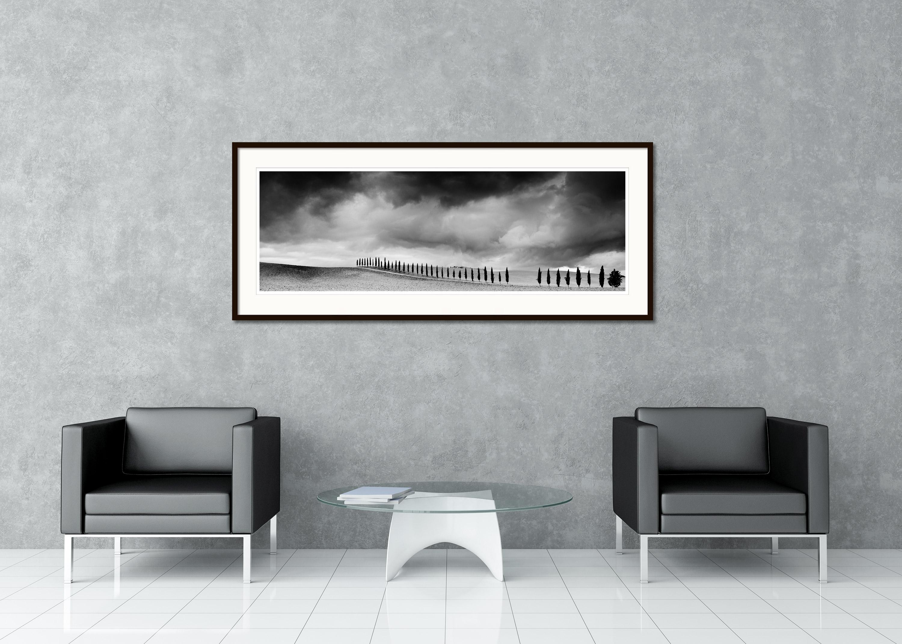 Black and white fine art panorama landscape photography print. Cypress tree avenue on hill with heavy clouds, Tuscany, Italy. Archival pigment ink print, edition of 9. Signed, titled, dated and numbered by artist. Certificate of authenticity