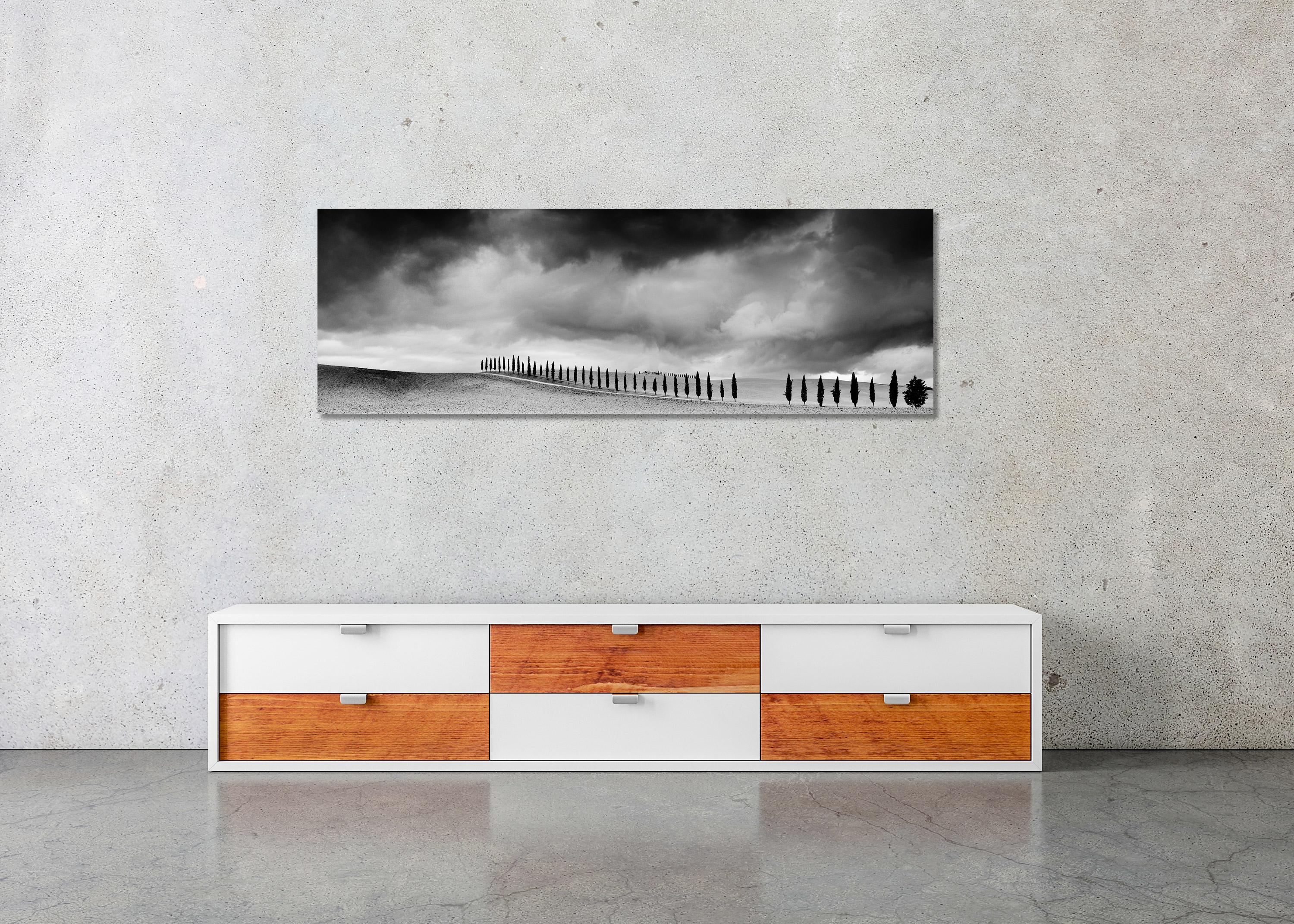 Cypress Tree Avenue, Panorama, Toscane, photographie noir et blanc, paysage en vente 2