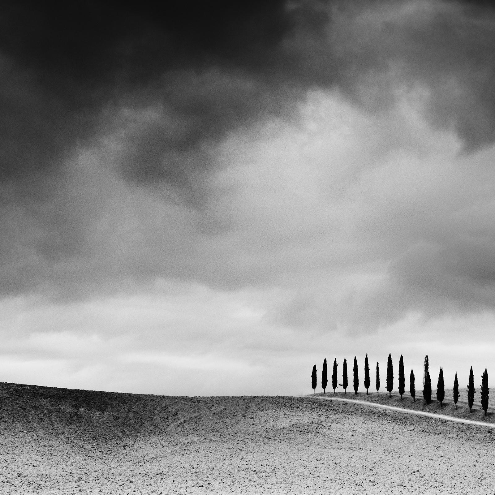 Cypress Tree Avenue, Panorama, Tuscany, black and white photography, landscape For Sale 3