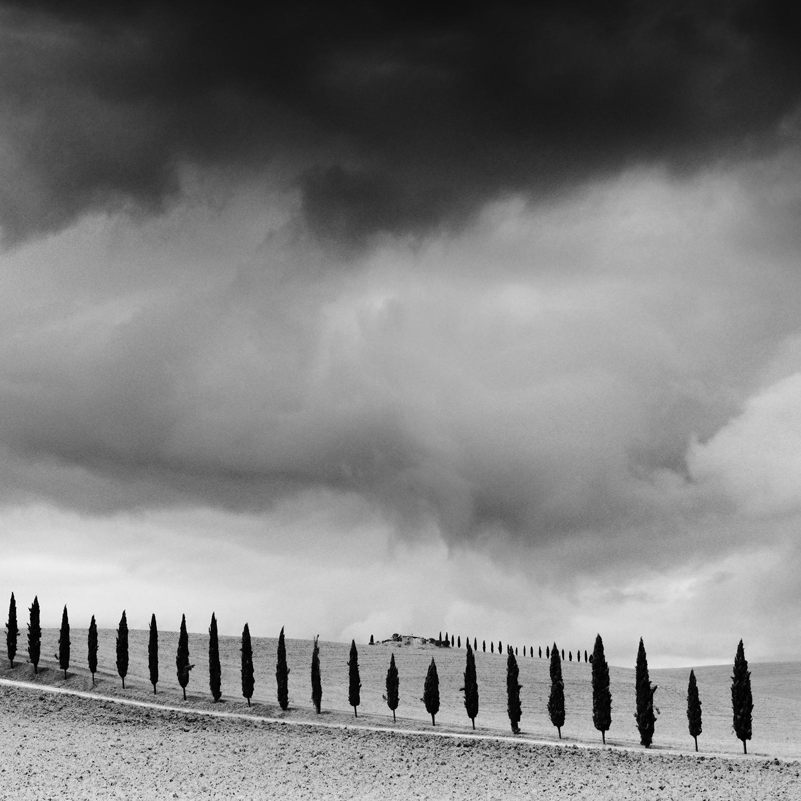 Cypress Tree Avenue, Panorama, Tuscany, black and white photography, landscape For Sale 4