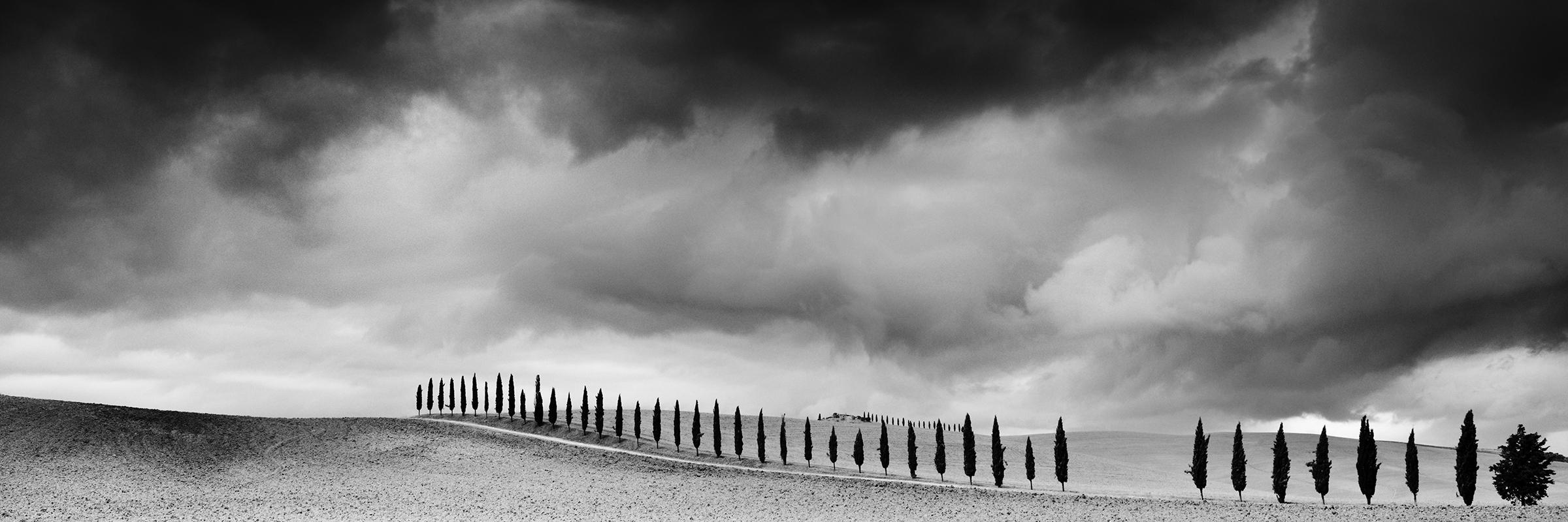 Gerald Berghammer Black and White Photograph - Cypress Tree Avenue, Panorama, Tuscany, black and white photography, landscape