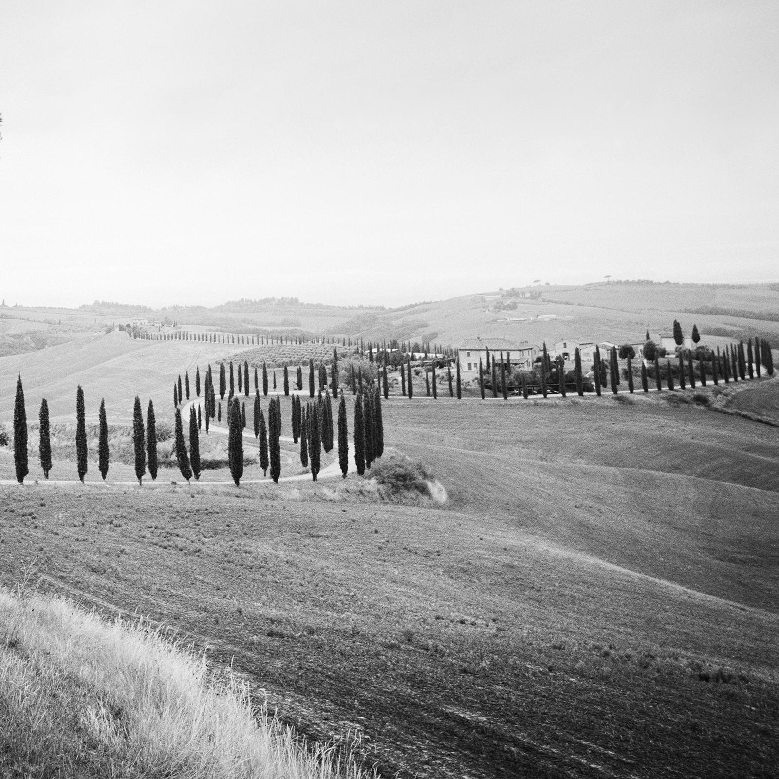 Cypress Tree Avenue, Tuscany, black and white photography, landscape, fine art For Sale 2