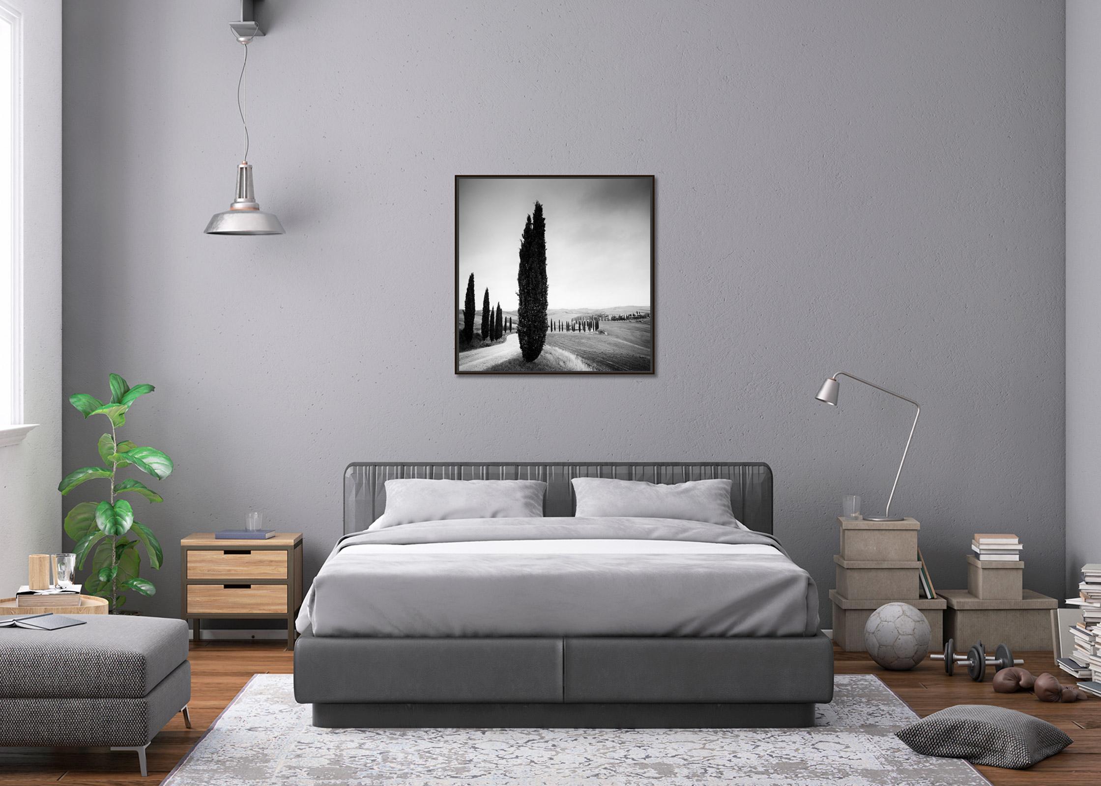 Cypress Tree Avenue, Tuscany, black and white photography, landscape, fine art - Contemporary Photograph by Gerald Berghammer