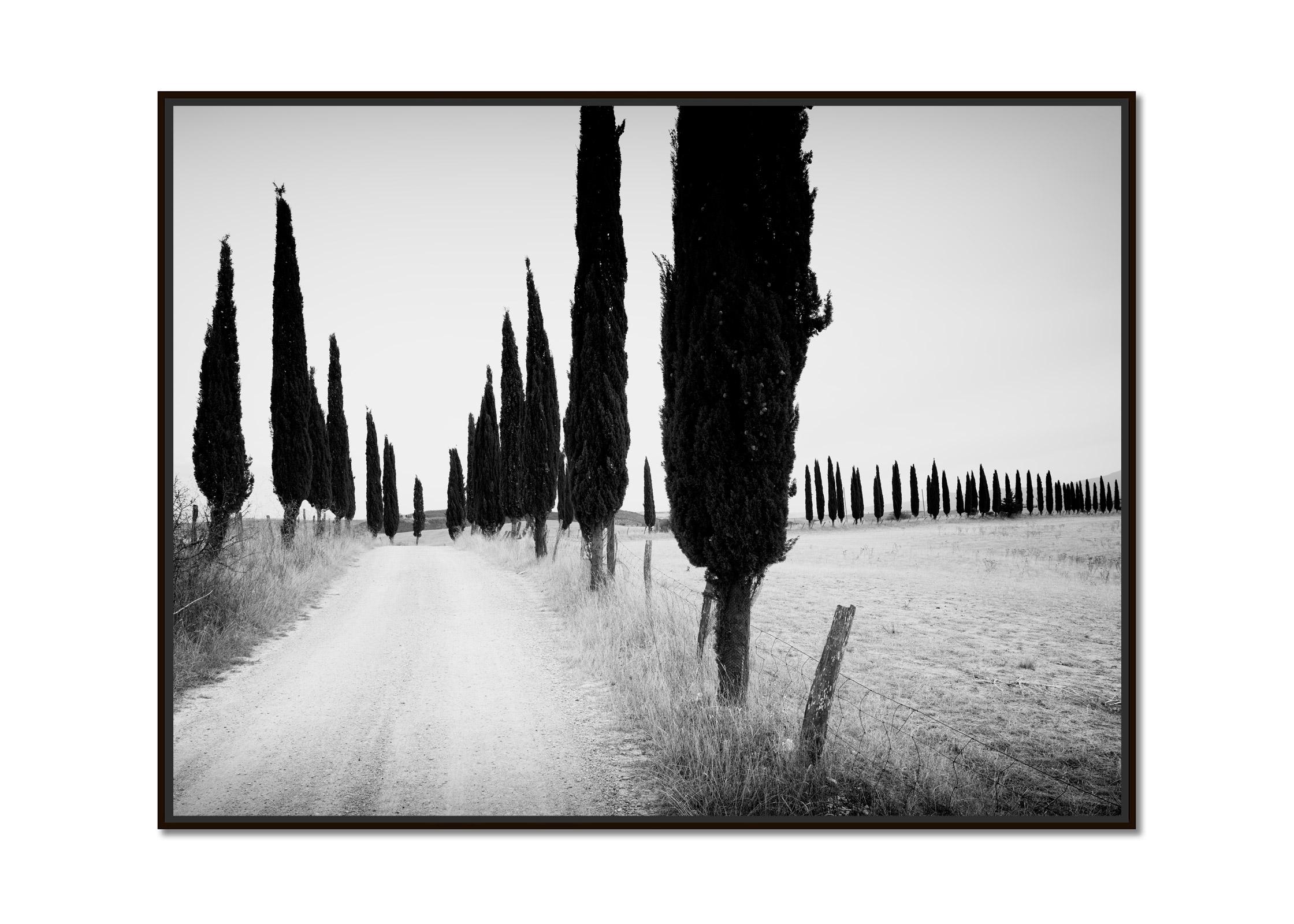 Cypress Tree Avenue, Tuscany, Italy, black and white photography, art landscape - Photograph by Gerald Berghammer