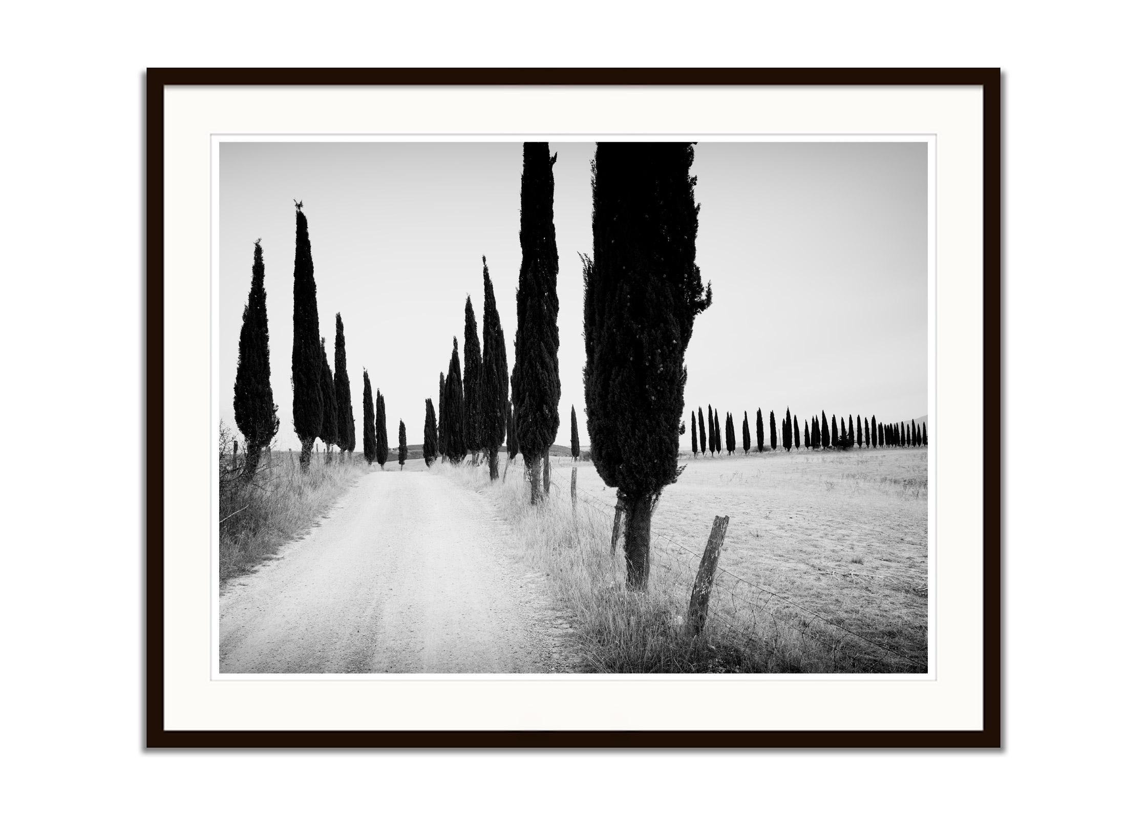 Cypress Tree Avenue, Tuscany, Italy, black and white photography, art landscape - Contemporary Photograph by Gerald Berghammer