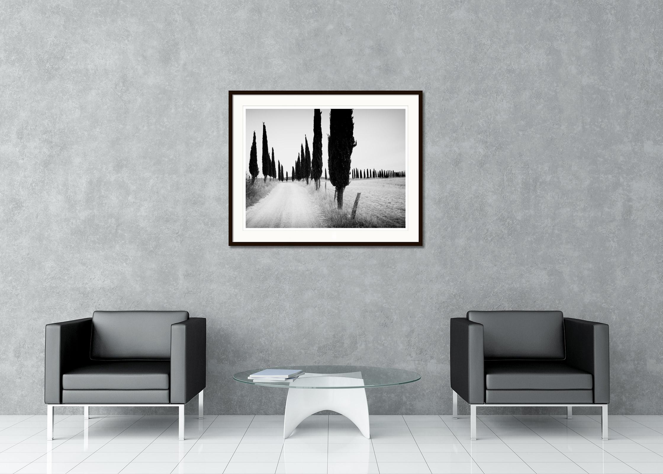 Cypress Tree Avenue, Tuscany, Italy, black and white photography, art landscape - Gray Landscape Photograph by Gerald Berghammer