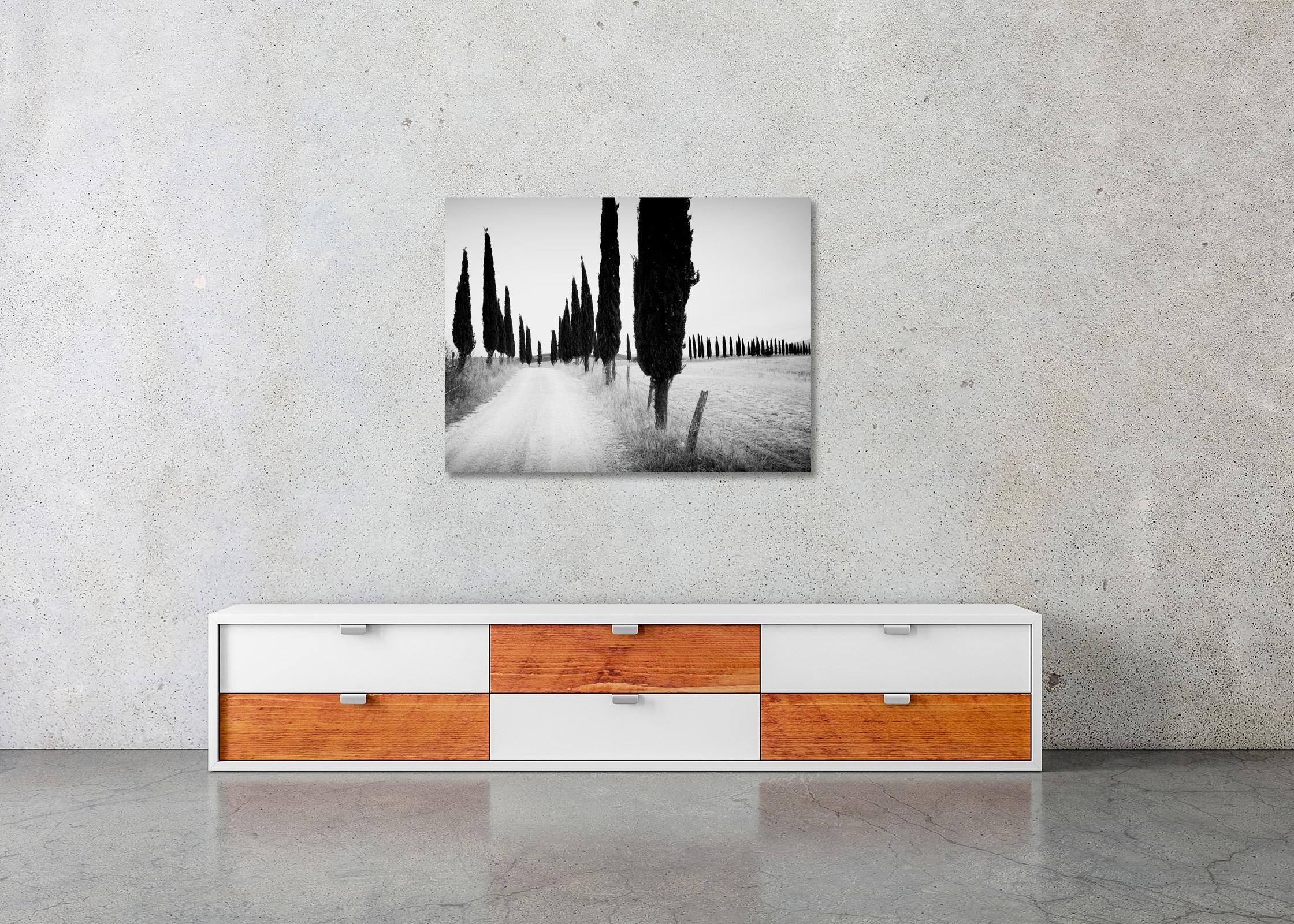 Cypress Tree Avenue, Tuscany, Italy, black and white photography, art landscape For Sale 1