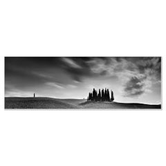 Cipresso, Campo, Panorama, Toscana, fotografia di paesaggio in bianco e nero