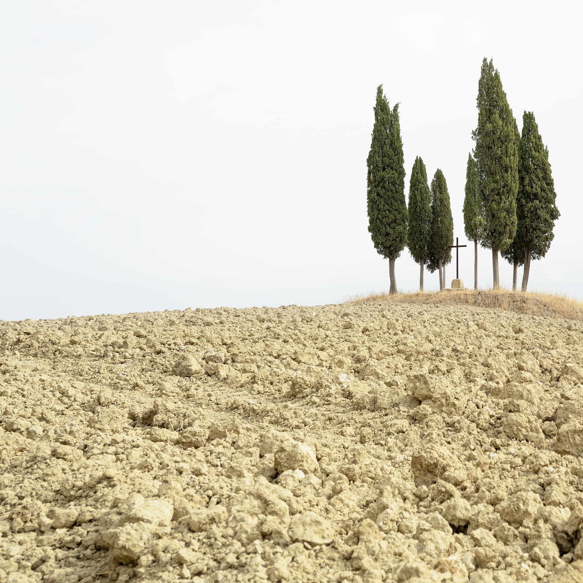 Cypress Tree on a Hill with a Cross - Tuscany - limited landscape editon photo For Sale 5