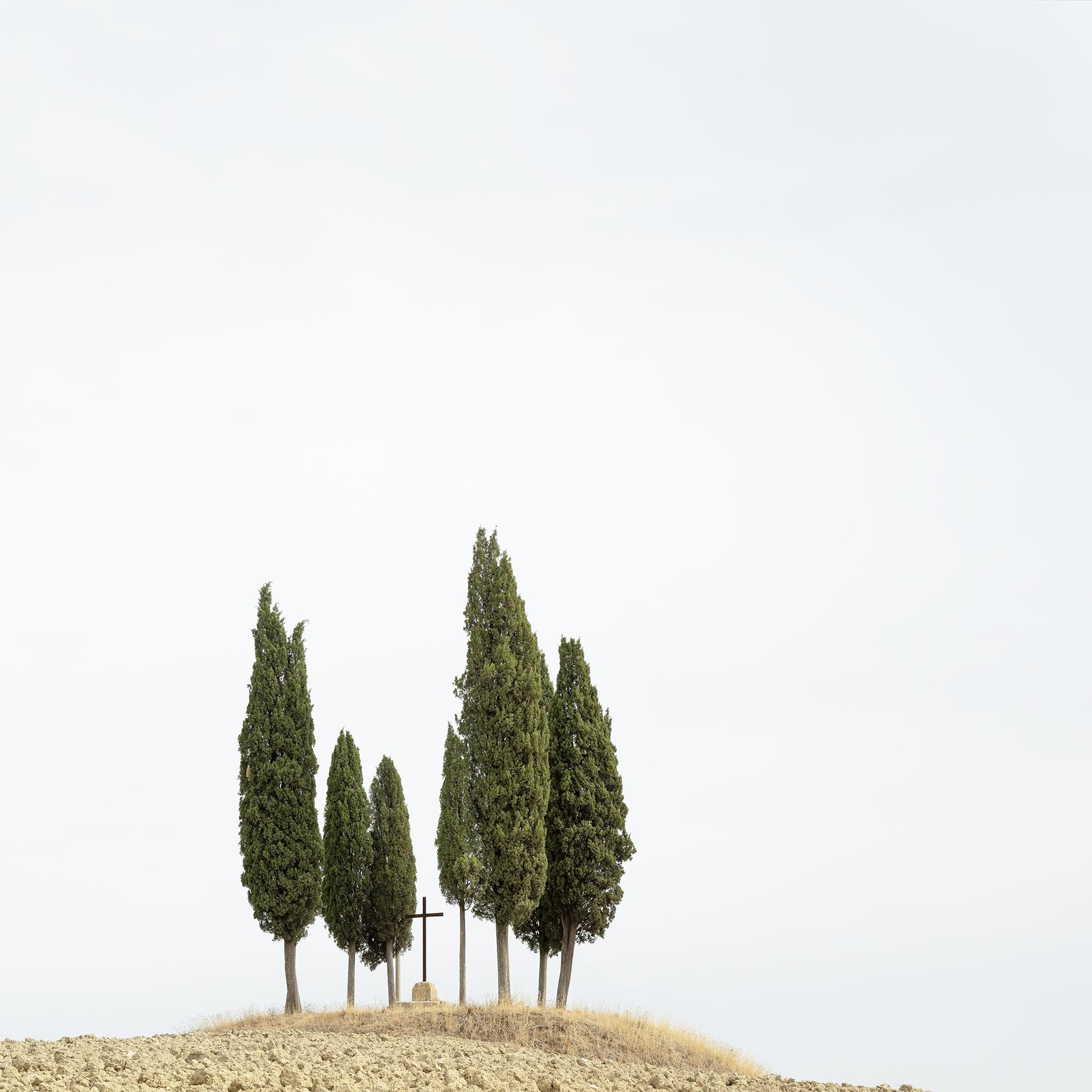 Cypress Tree on a Hill with a Cross - Tuscany - limited landscape editon photo For Sale 6
