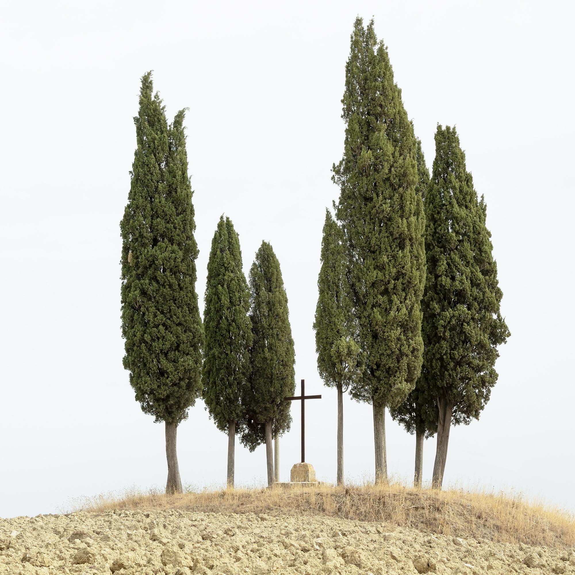 Cypress Tree on a Hill with a Cross - Tuscany - limited landscape editon photo For Sale 7