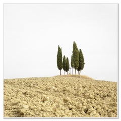 Cypress Tree on a Hill with a Cross - Tuscany - limited landscape editon photo
