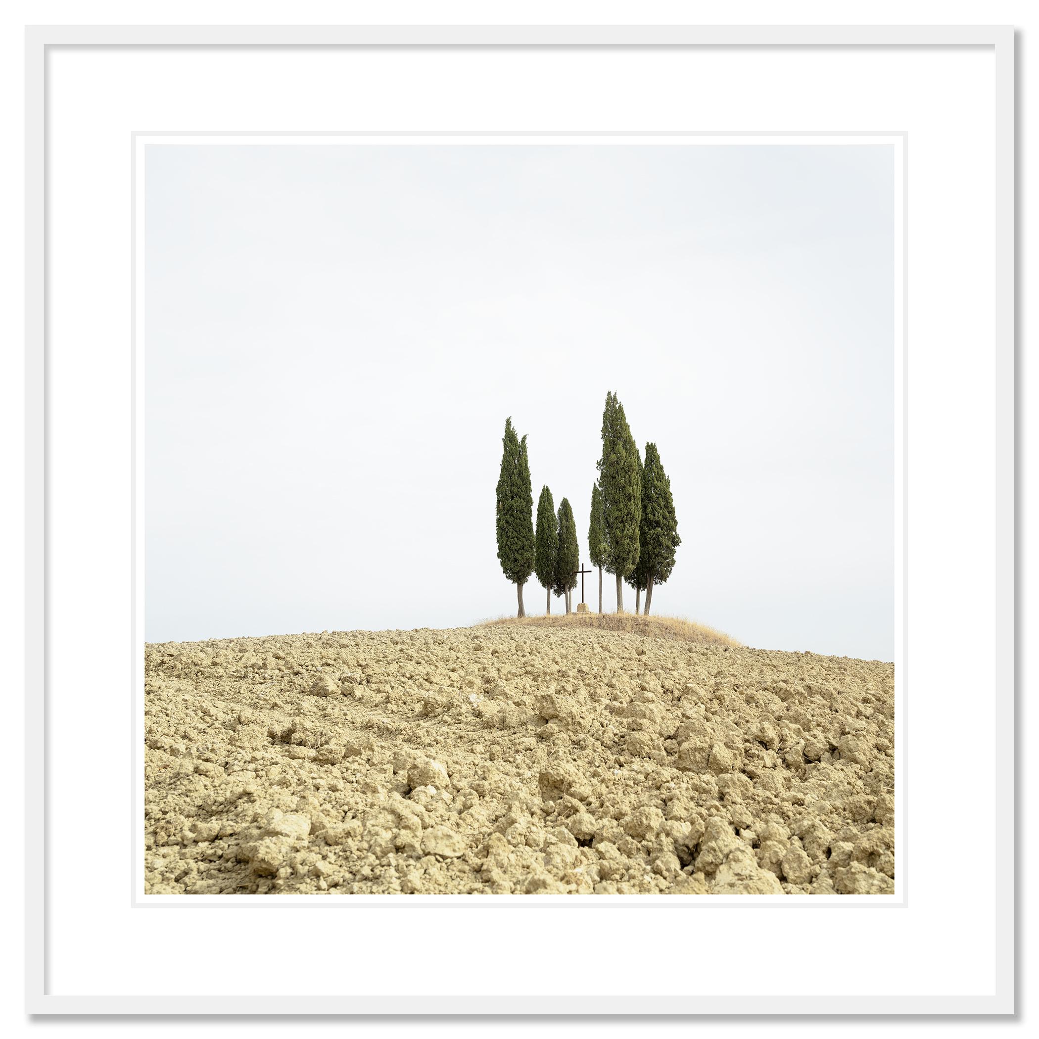Gerald Berghammer - Color minimalist landscape photography. A small group of tall, slender cypress trees on a dry, barren hilltop against a cloudy sky.

Archival pigment ink print as part of a limited edition of 7. 
All Gerald Berghammer prints are