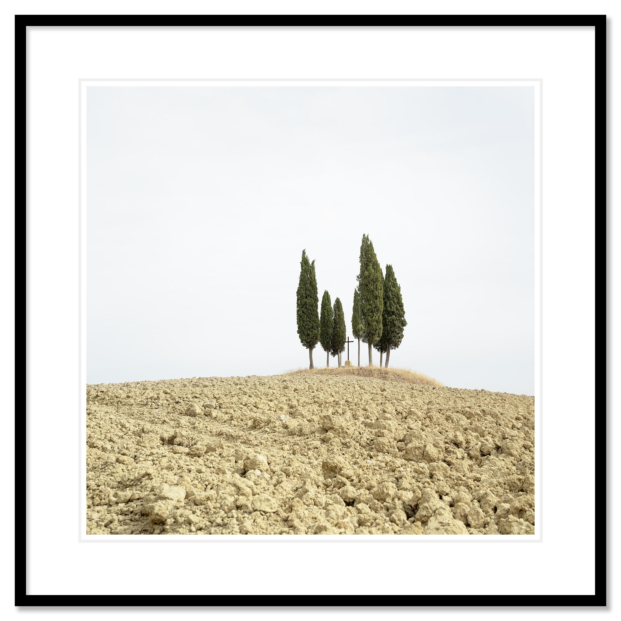 Cypress Tree on a Hill with a Cross - Tuscany - limited landscape editon photo For Sale 1