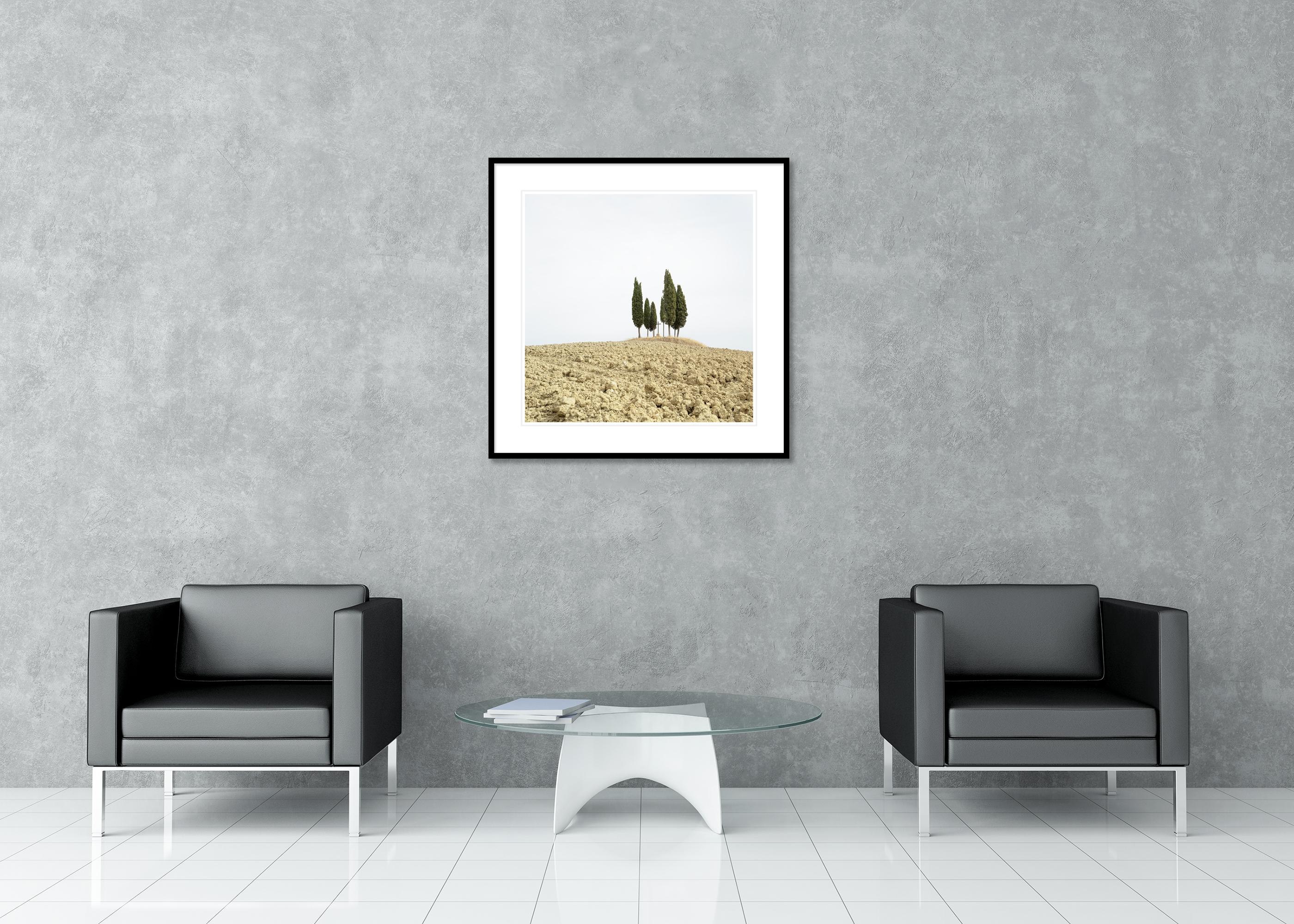 Cypress Tree on a Hill with a Cross - Tuscany - limited landscape editon photo For Sale 2