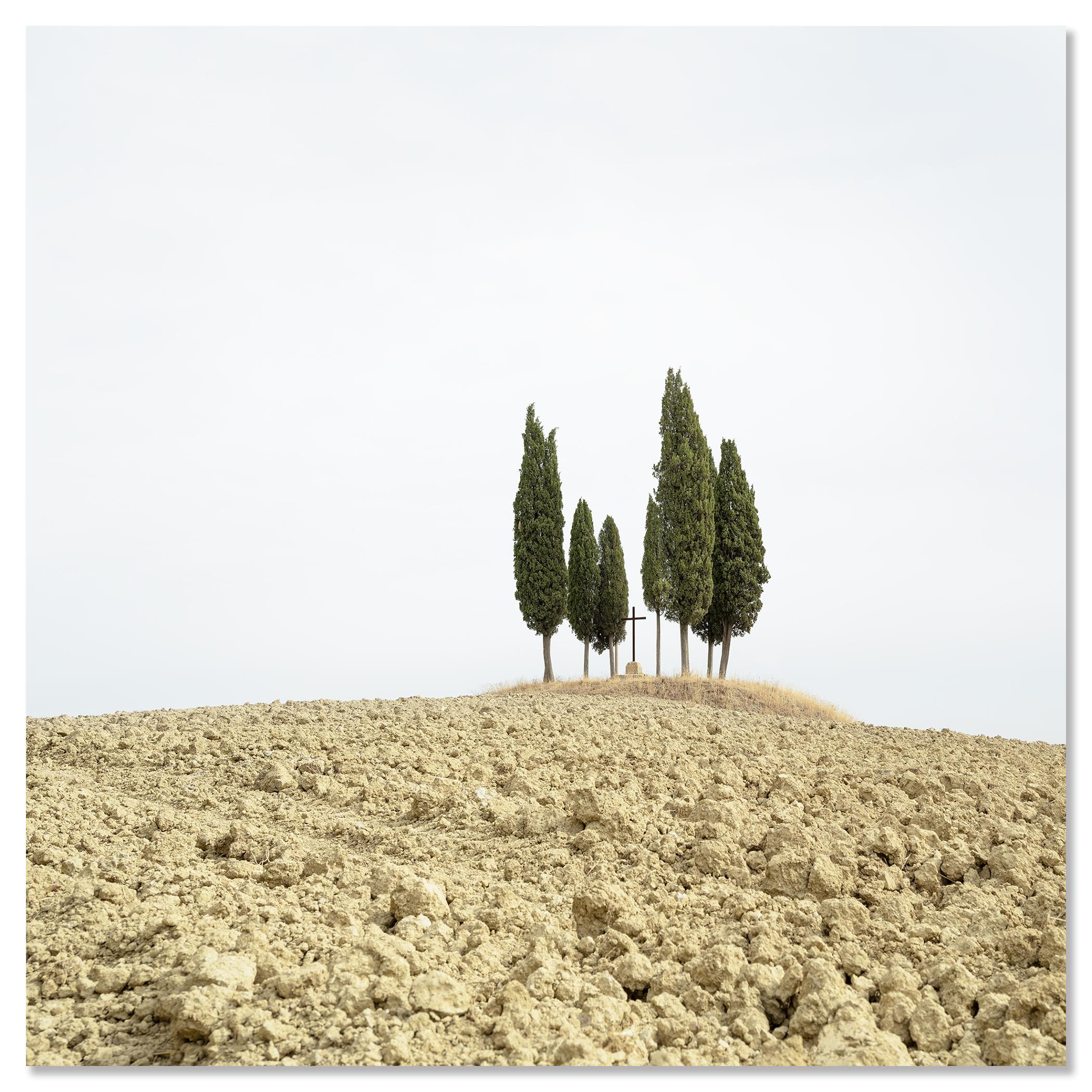 Cypress Tree on a Hill with a Cross - Tuscany - limited landscape editon photo For Sale 3