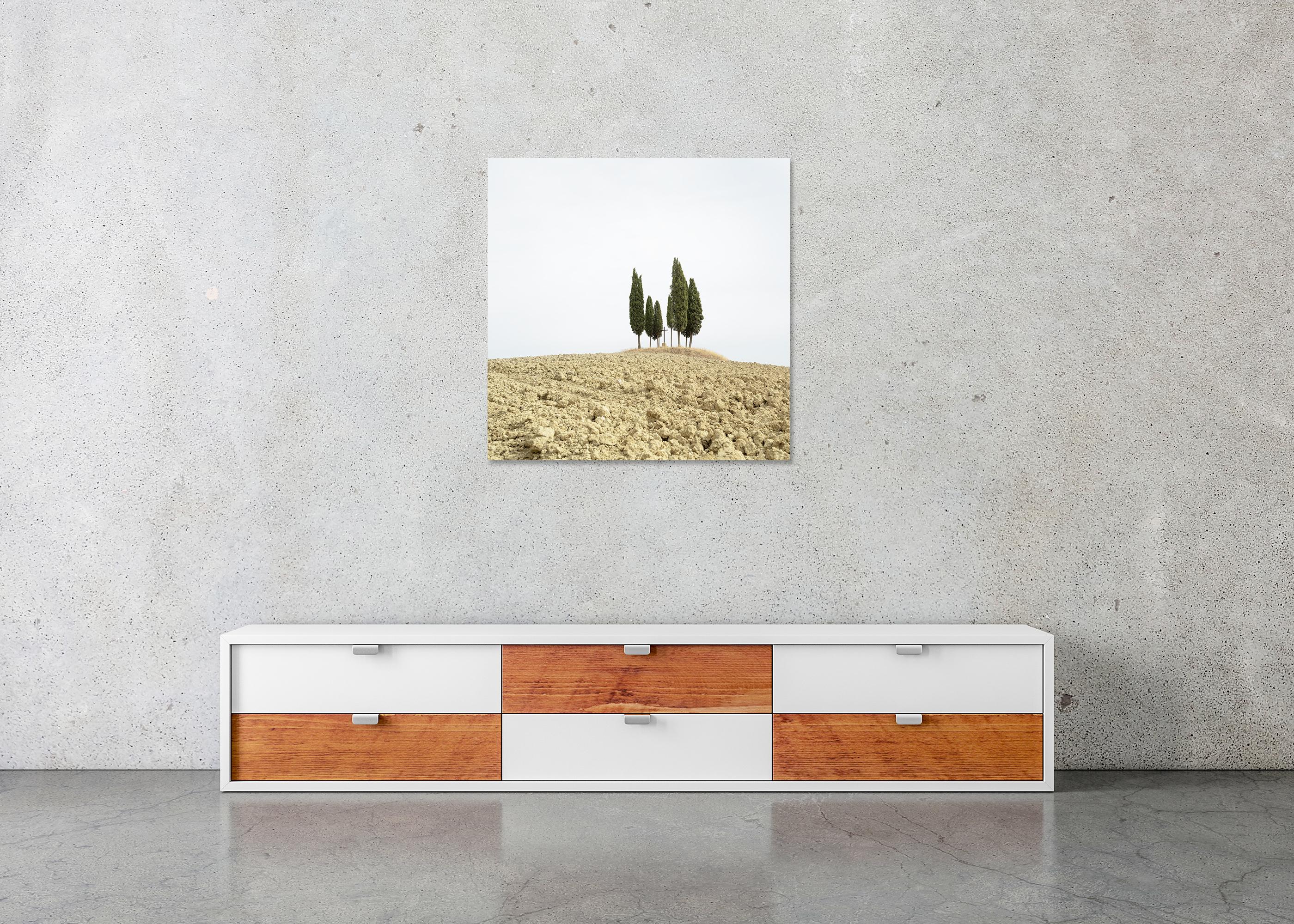 Cypress Tree on a Hill with a Cross - Tuscany - limited landscape editon photo For Sale 4