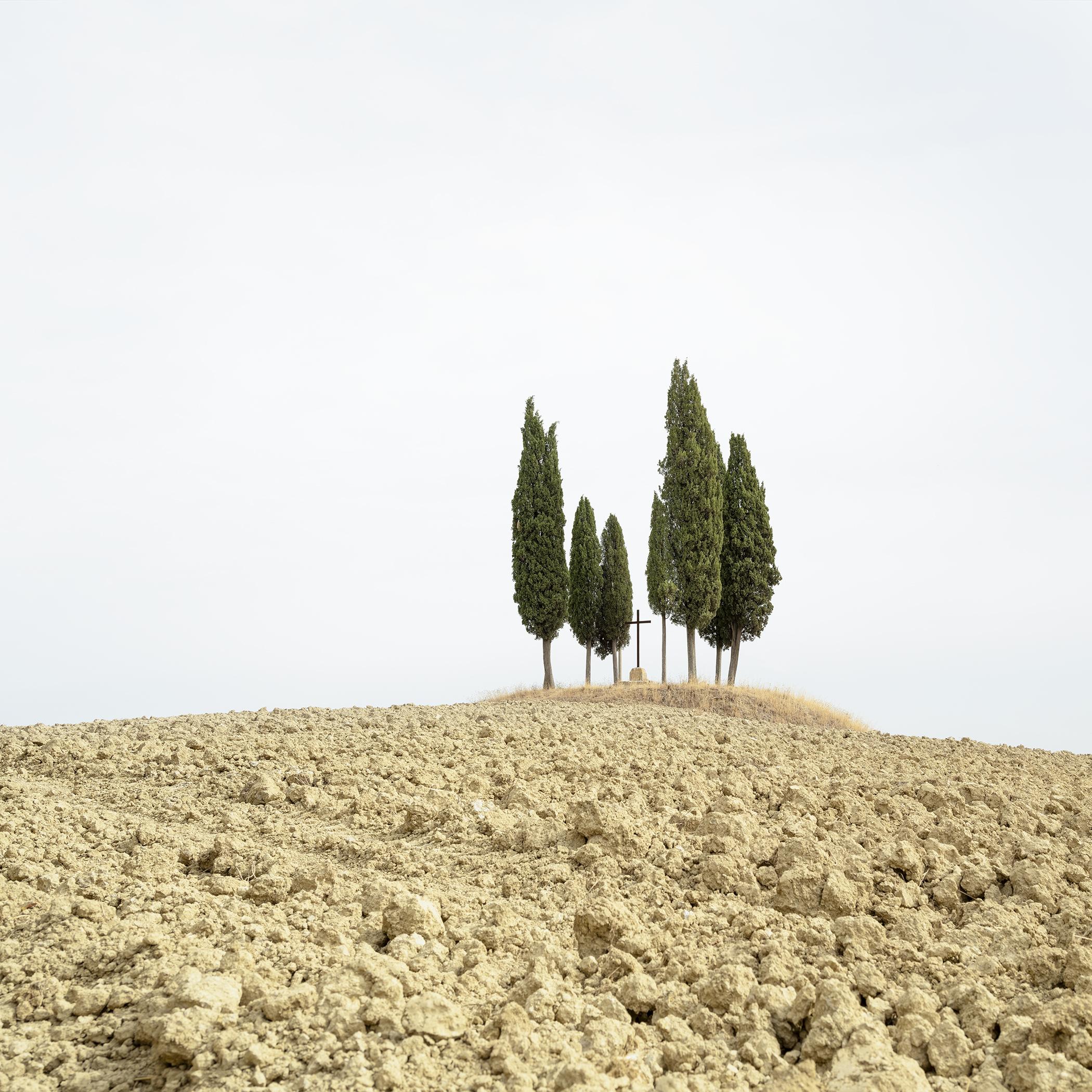 What is a field photograph?