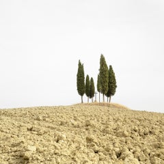 Cipresso su una collina con croce - Toscana - foto limitata di paesaggio