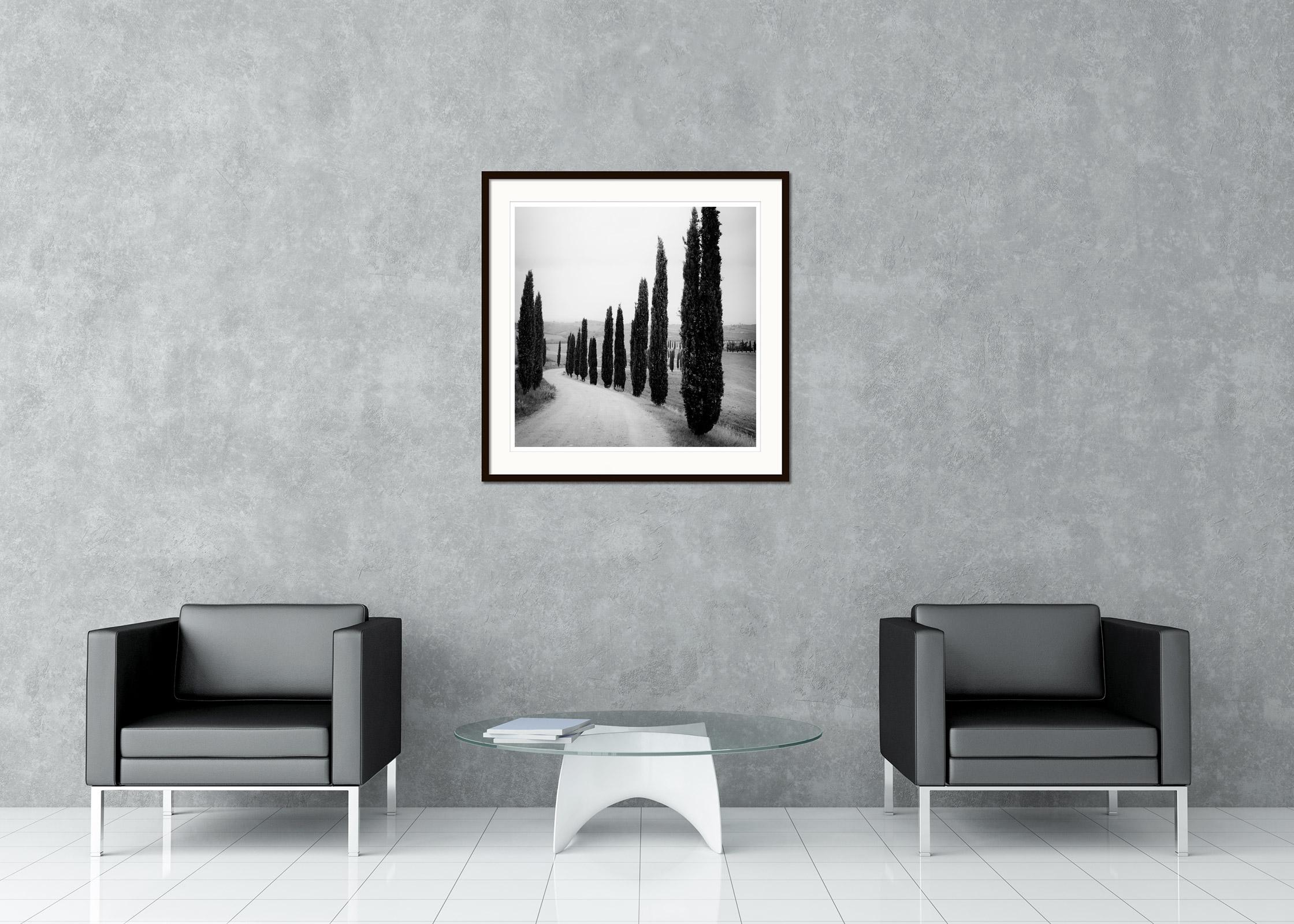 Black and white fine art landscape photography print. Path through a cypress avenue to the castle, Tuscany, Italy. Archival pigment ink print, edition of 9. Signed, titled, dated and numbered by artist. Certificate of authenticity included. Printed
