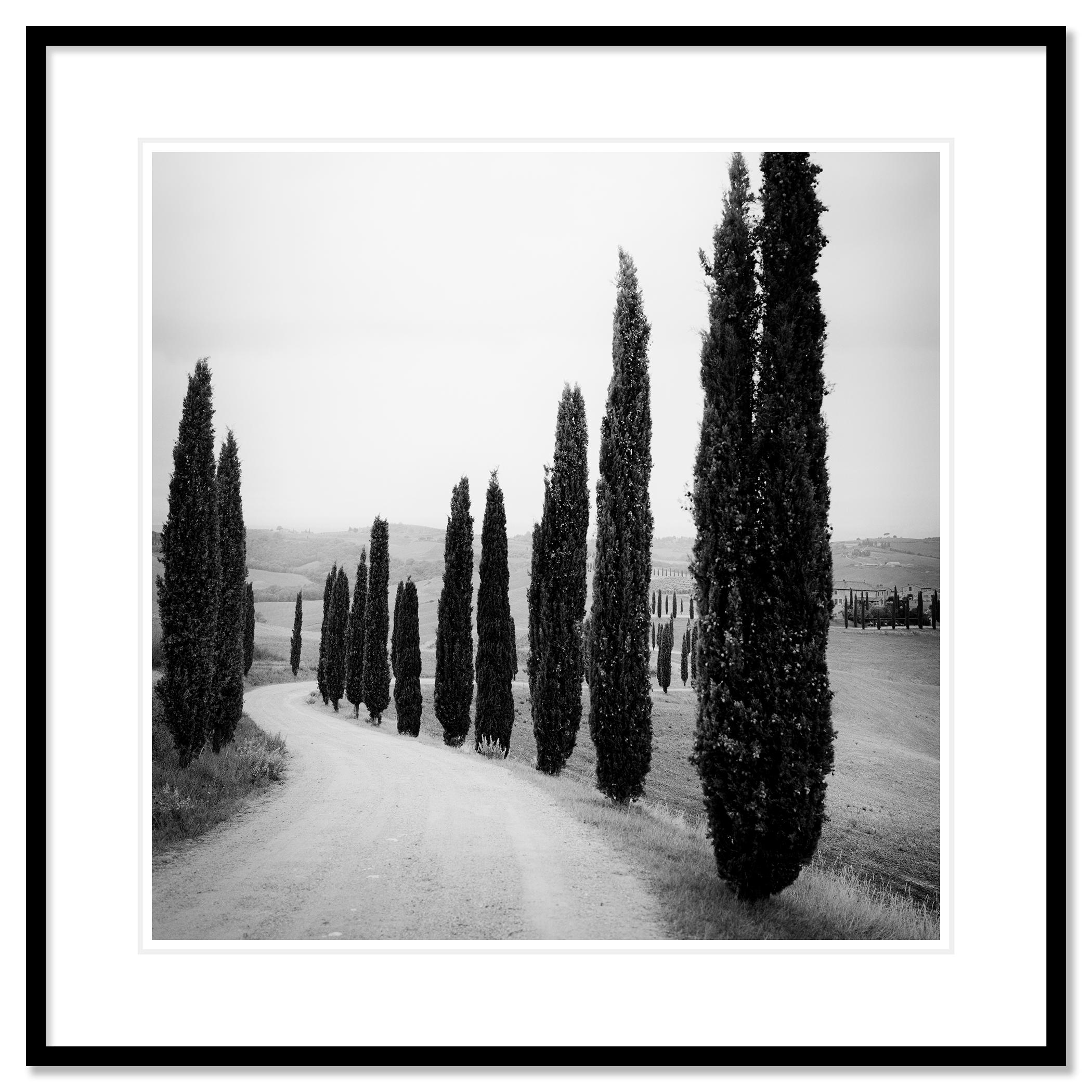 Schwarzer und weißer Kunstdruck der Landschaftsfotografie. Weg durch eine Zypressenallee zum Schloss, Toskana, Italien. Pigmenttintendruck, Auflage 9, signiert, betitelt, datiert und nummeriert vom Künstler. Mit Echtheitszertifikat. Bedruckt mit