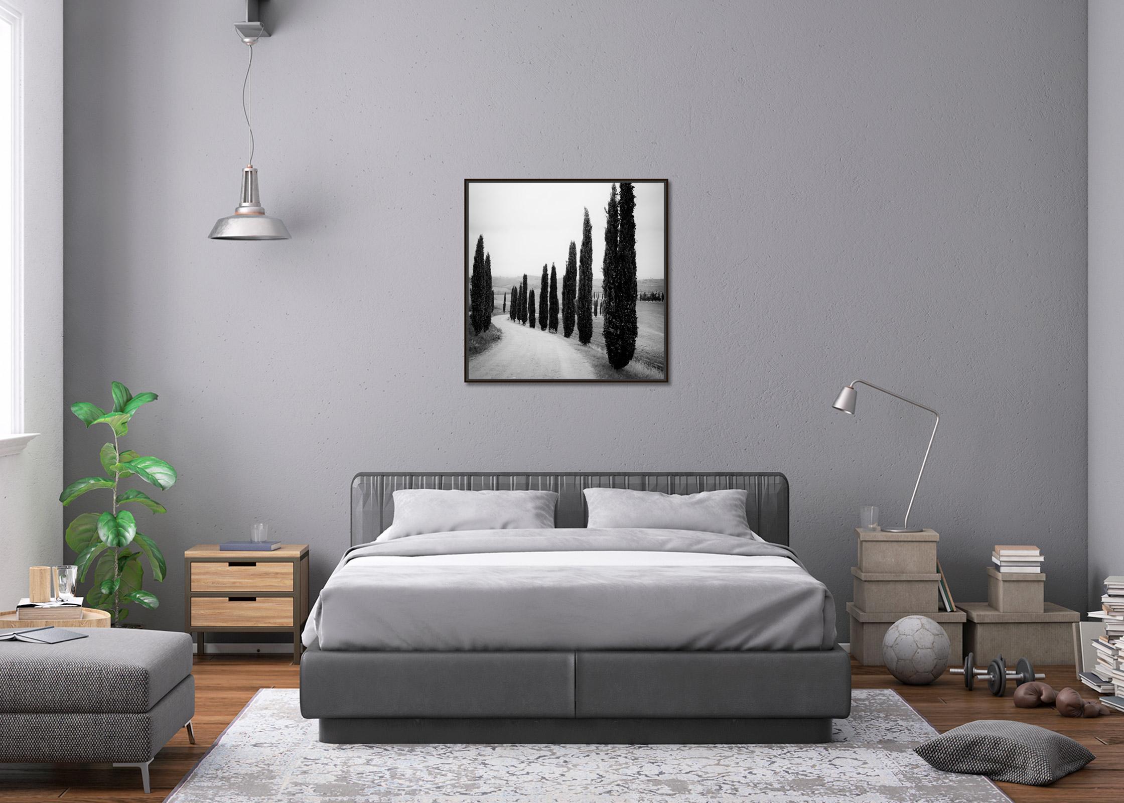 Cypress Trees, along the Road, Tuscany, black and white photography, landscape For Sale 1