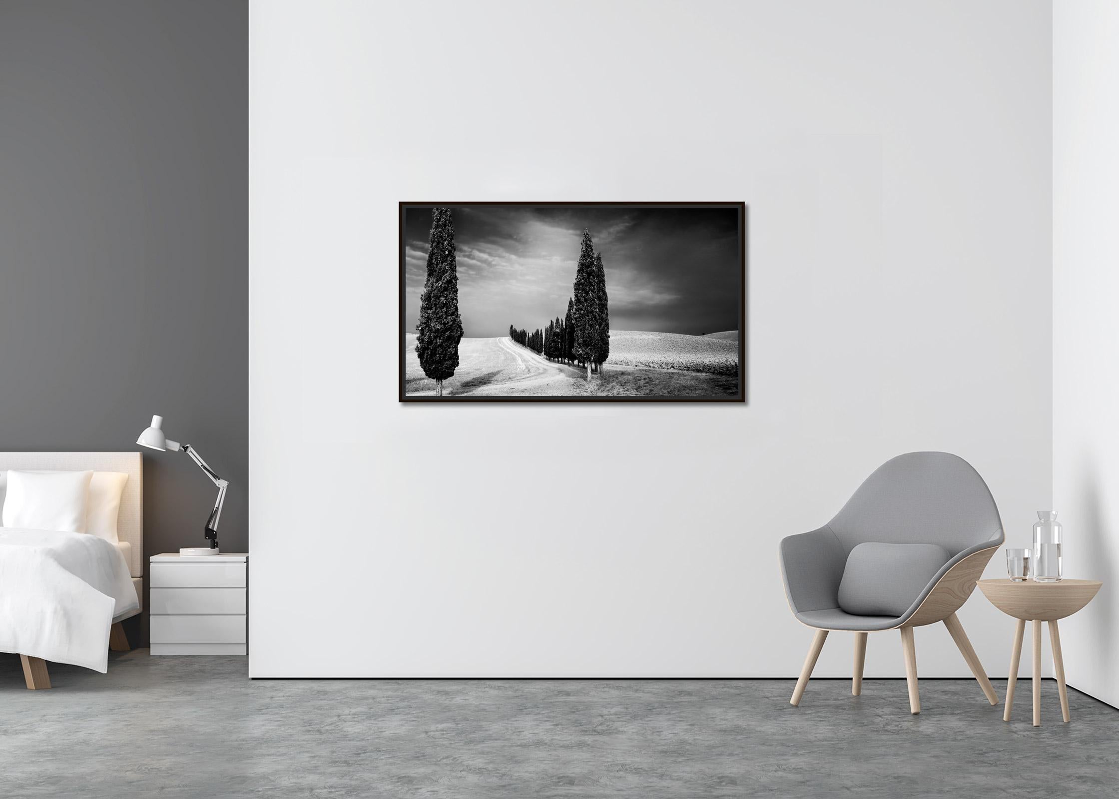 Cypress Trees Avenue Panorama Tuscany black white fine art landscape photography - Contemporary Photograph by Gerald Berghammer