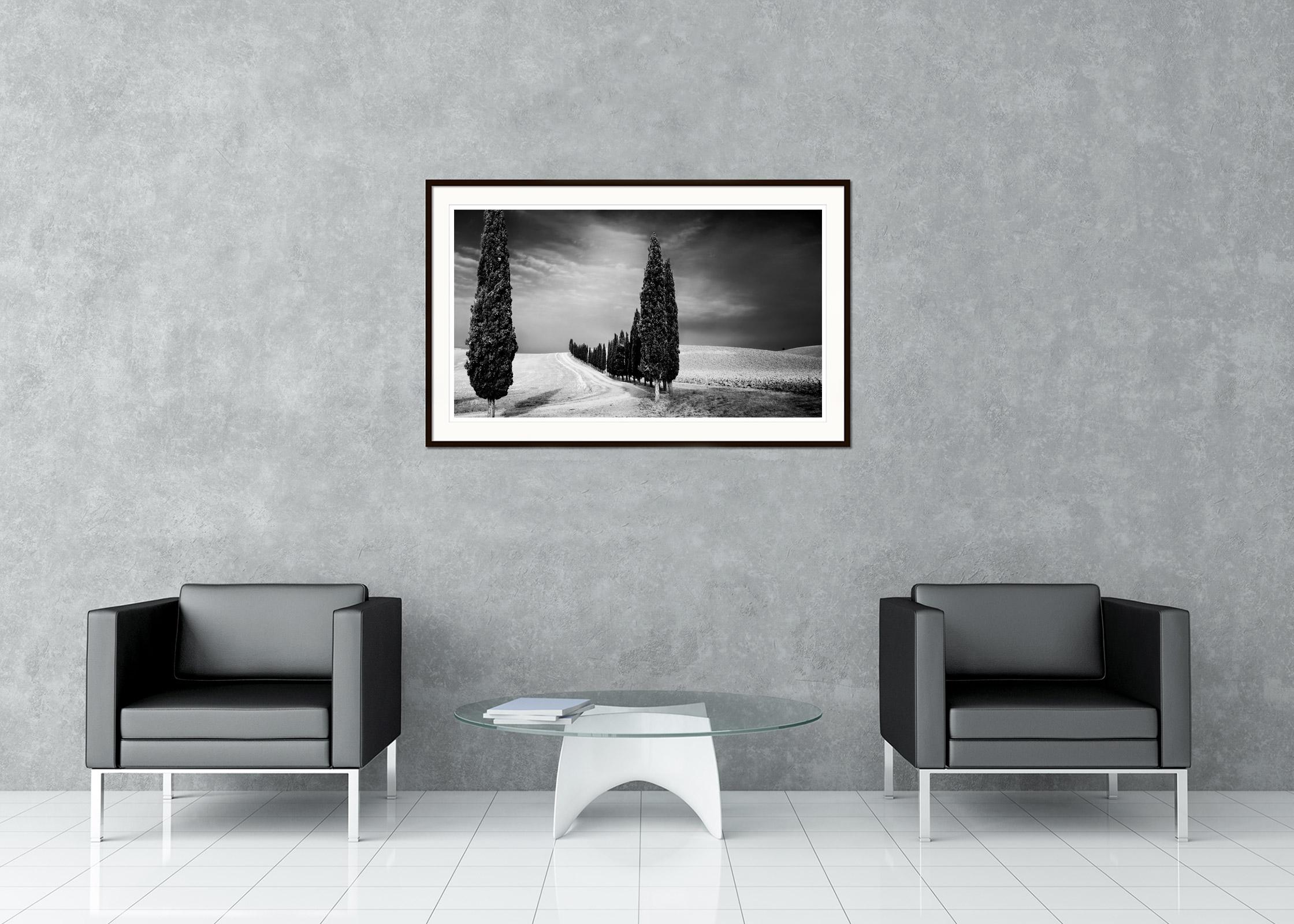 Black and white fine art panorama landscape photography print. Path along a wonderful avenue of cypress trees during a storm in Tuscany, Italy. Archival pigment ink print, edition of 7. Signed, titled, dated and numbered by artist. Certificate of