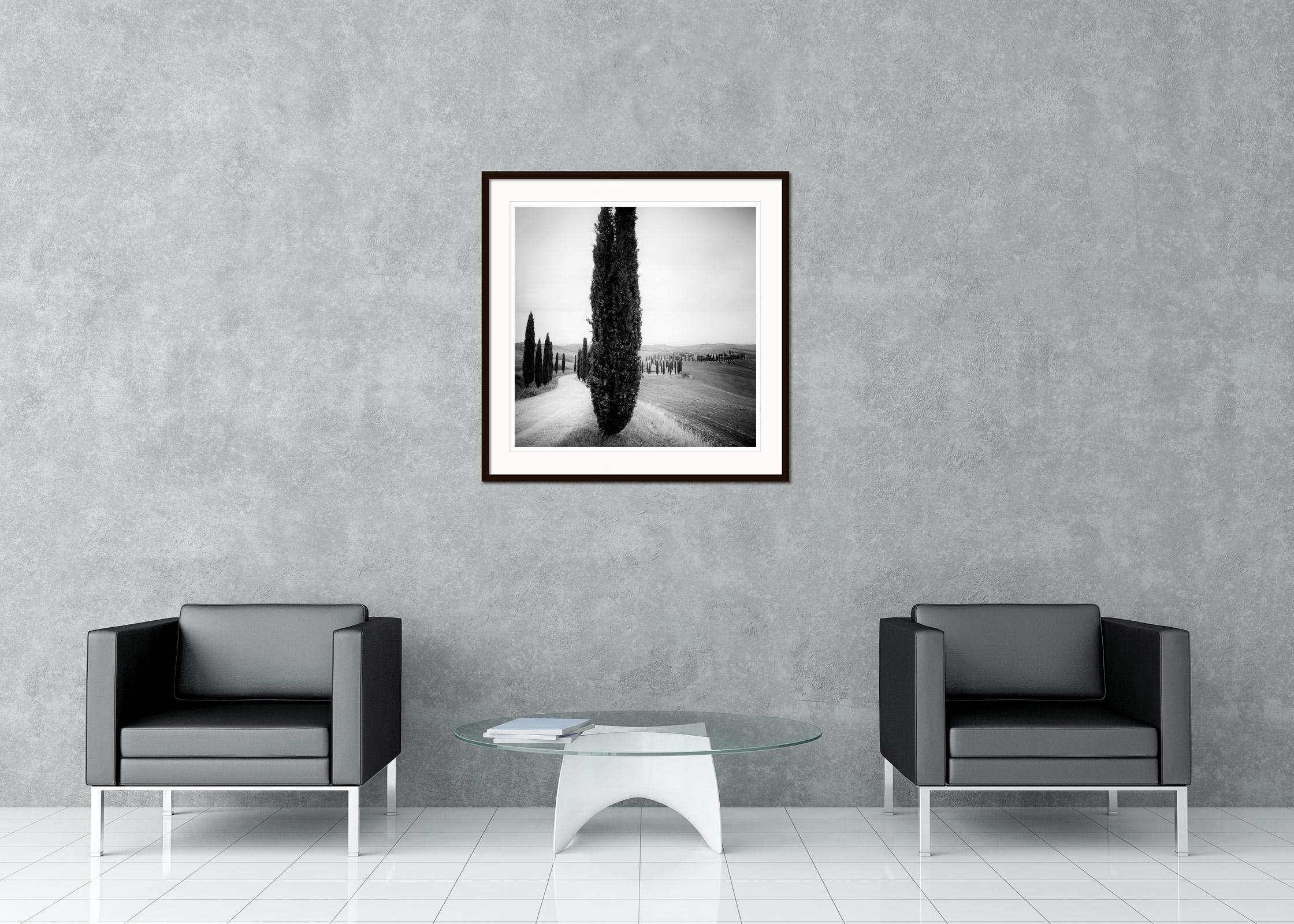 Schwarzer und weißer Kunstdruck der Landschaftsfotografie. Schöne kurvenreiche Straße mit Zypressen am Wegesrand in der Toskana, Italien. Pigmenttintendruck, Auflage 5, signiert, betitelt, datiert und nummeriert vom Künstler. Mit