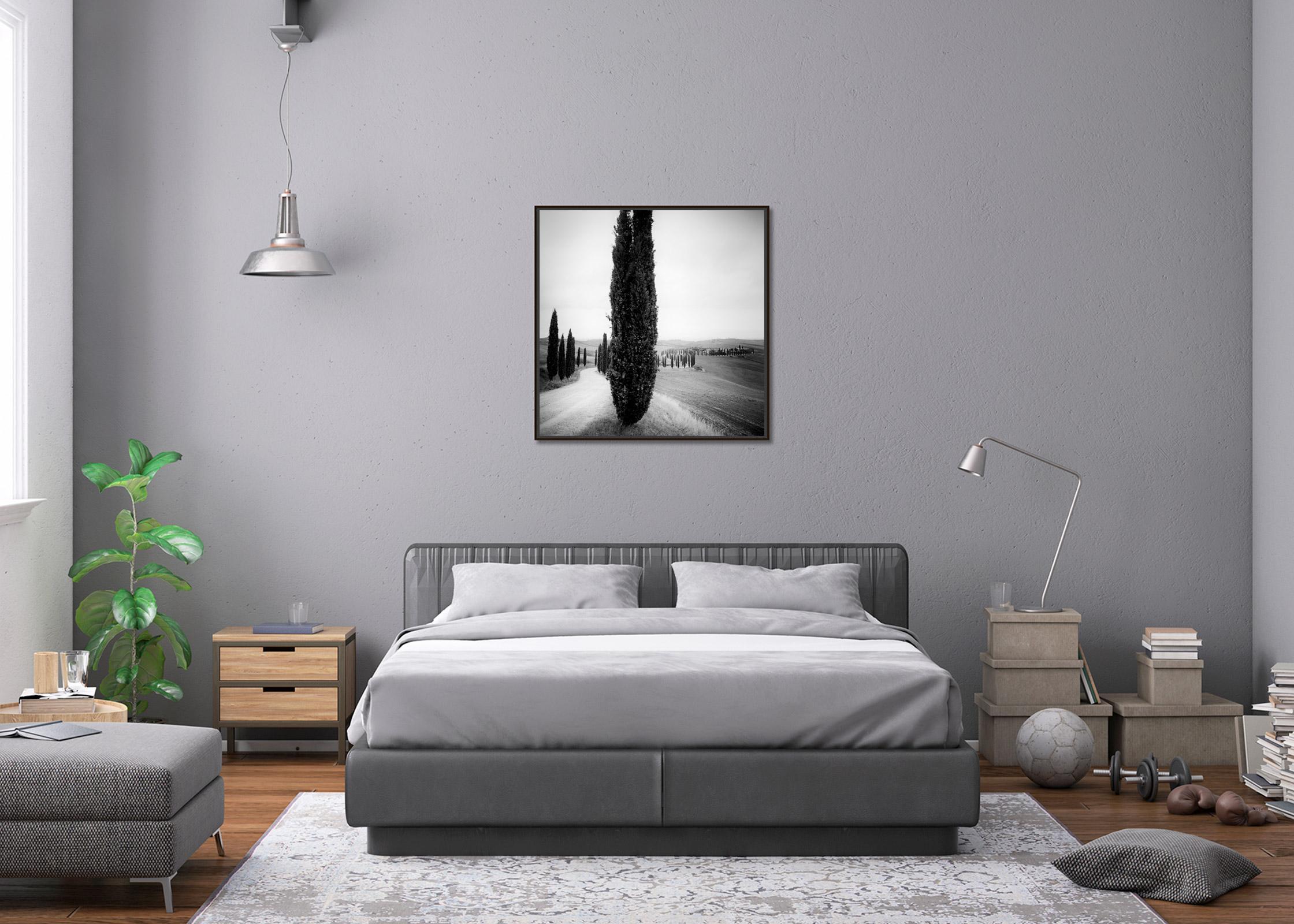 Zypressenbäume, Avenue, Toskana, Schwarz-Weiß-Fotografie, Landschaft im Angebot 1