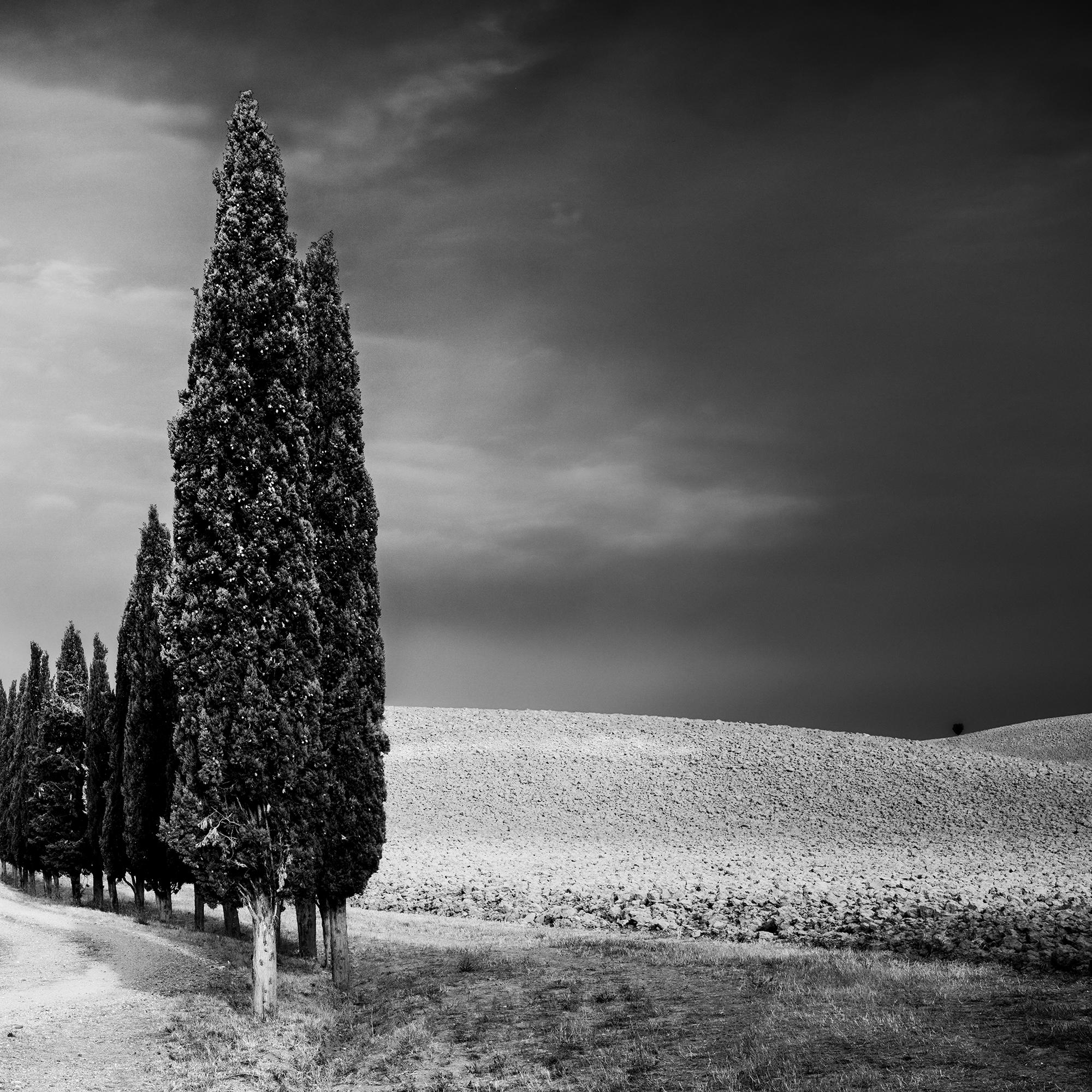 Viale dei cipressi, Toscana, fotografia in bianco e nero, paesaggio limitato in vendita 6