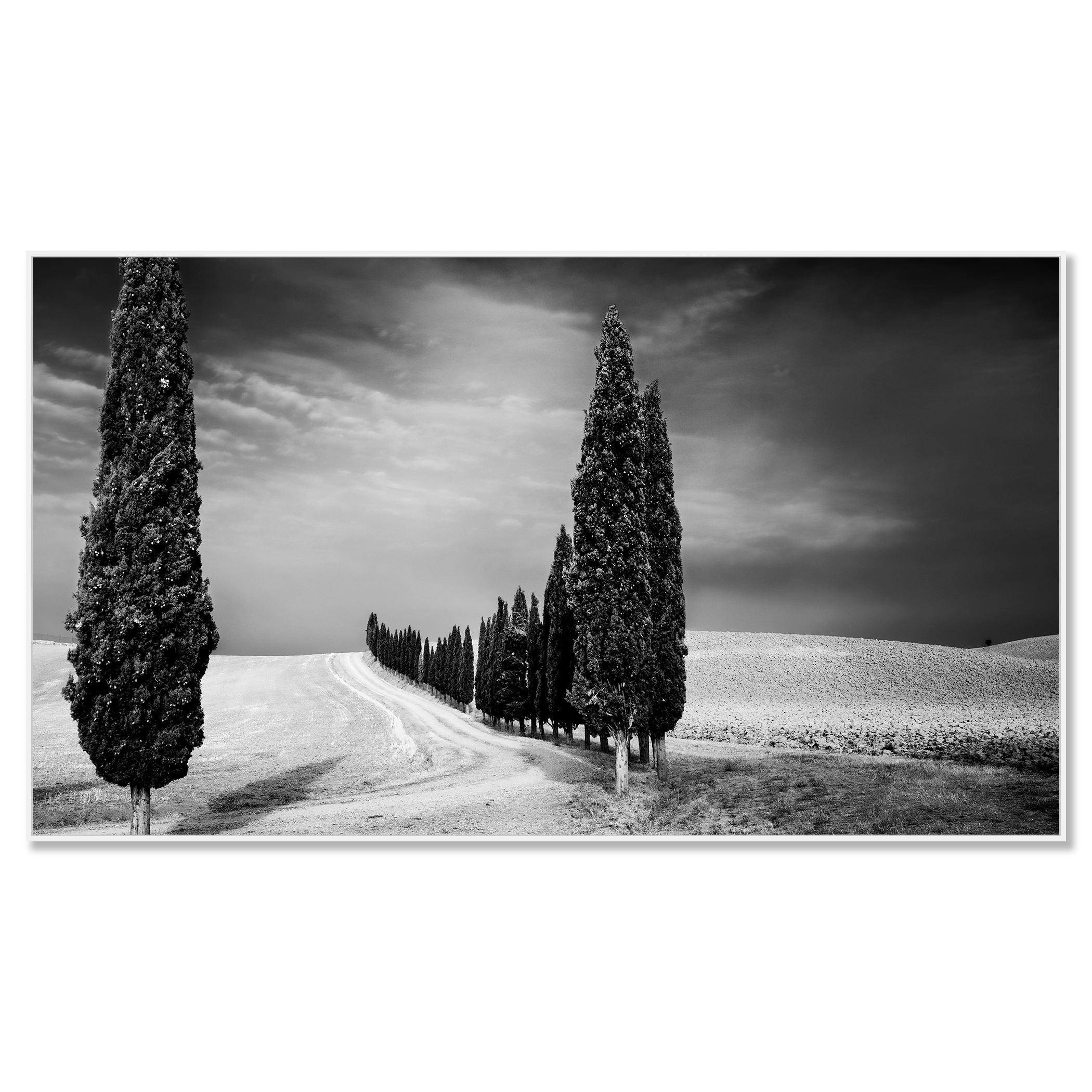 Viale dei cipressi, Toscana, fotografia in bianco e nero, paesaggio limitato - Photograph Contemporaneo di Gerald Berghammer