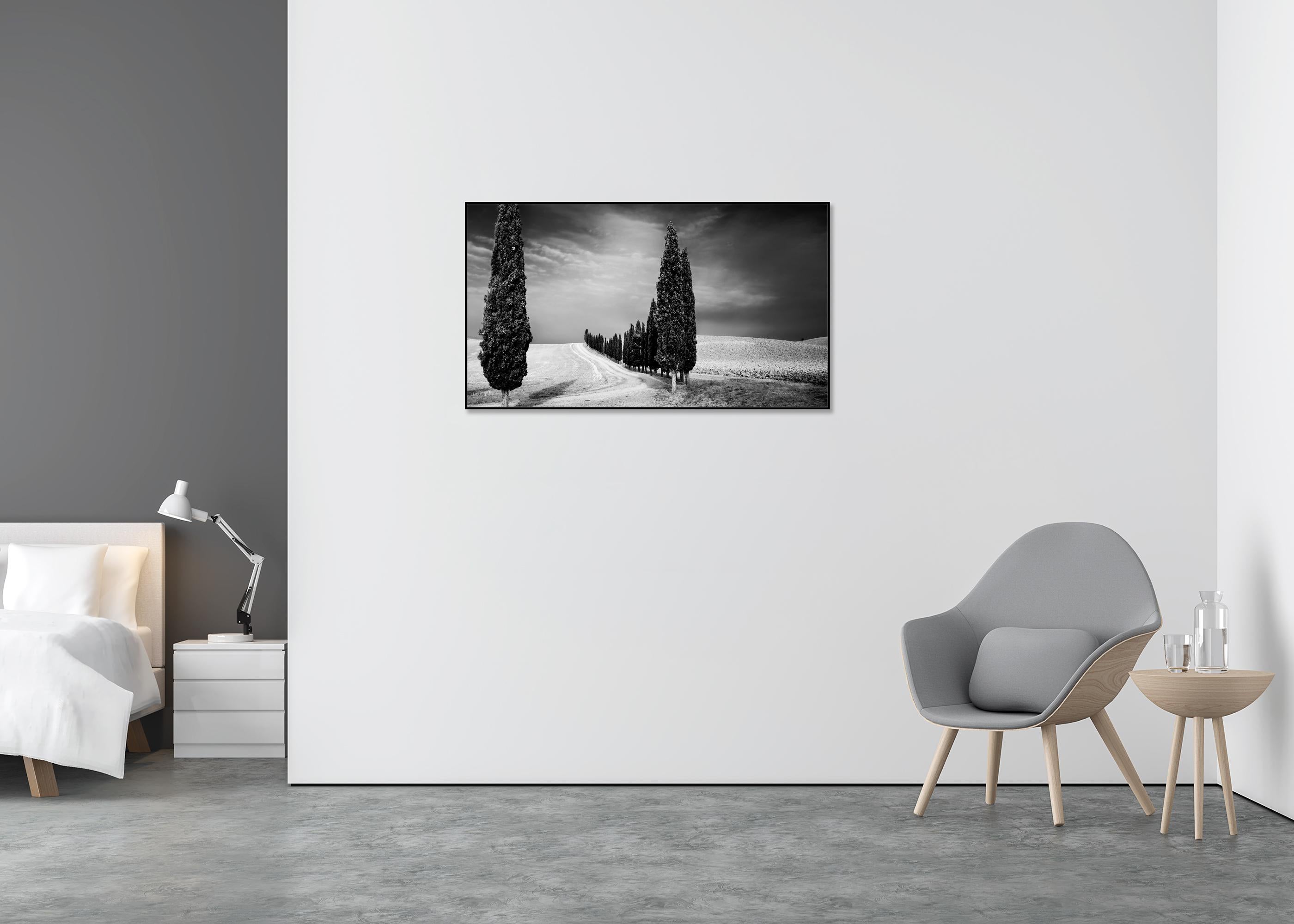 Viale dei cipressi, Toscana, fotografia in bianco e nero, paesaggio limitato - Black and White Photograph Nero di Gerald Berghammer