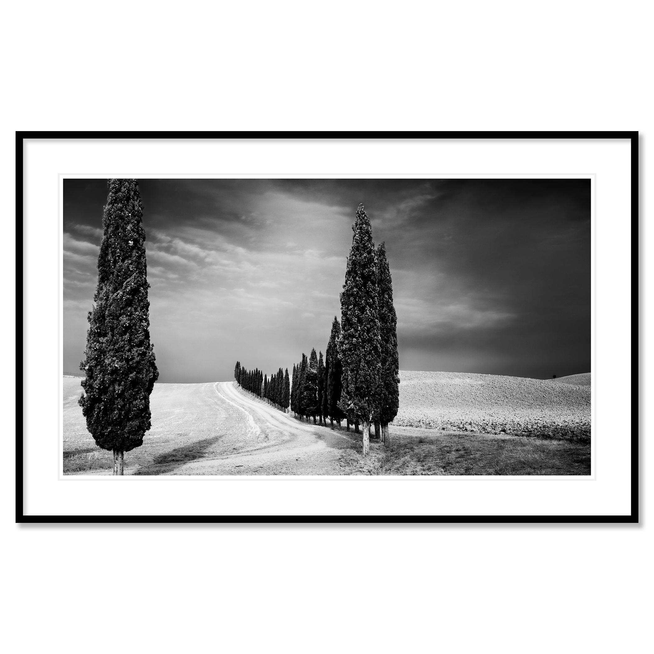 Stampa fotografica panoramica in bianco e nero. Sentiero lungo un meraviglioso viale di cipressi durante un temporale in Toscana, Italia. Stampa a inchiostro pigmentato d'archivio, edizione di 7 esemplari. Firmato, intitolato, datato e numerato